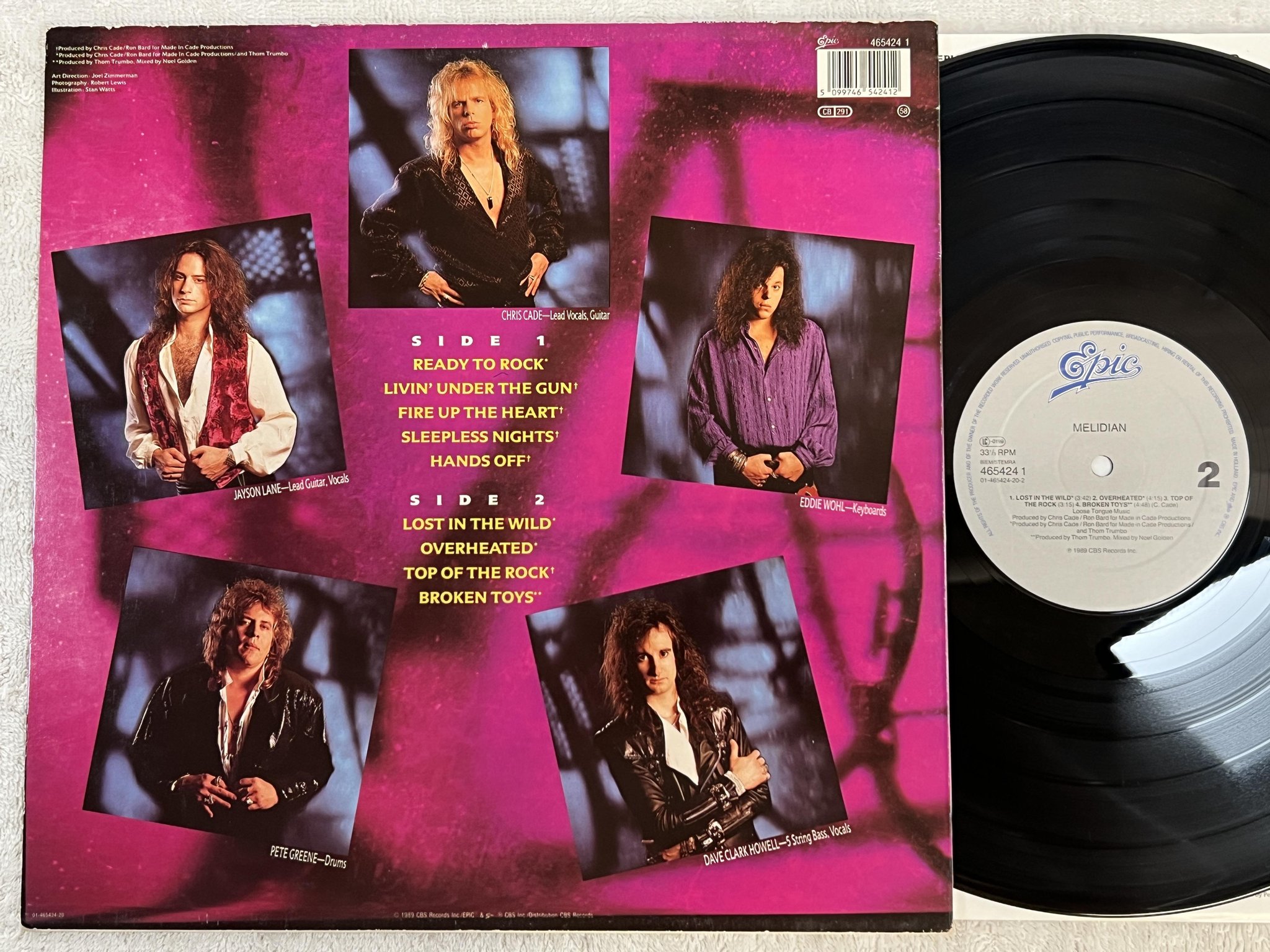 Omslagsbild för skivan MEILDIAN Lost In The Wild LP -89 Hol EPIC 465424 1