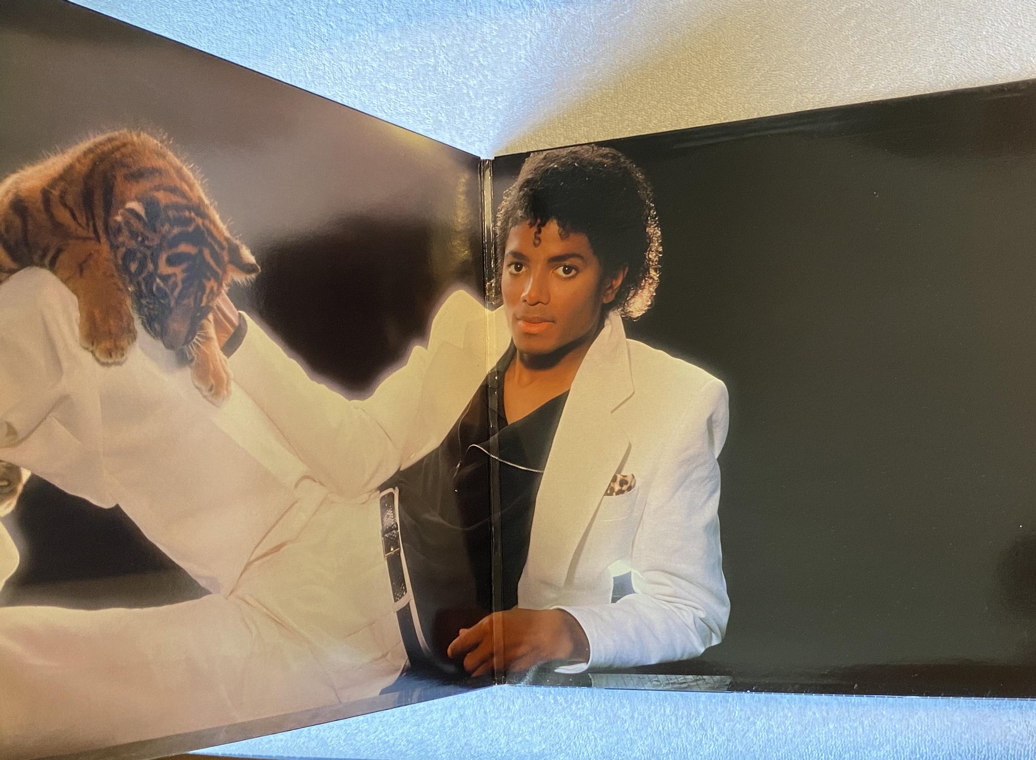 Omslagsbild för skivan MICHAEL JACKSON thriller LP -82 Hol EPIC EPC 85930