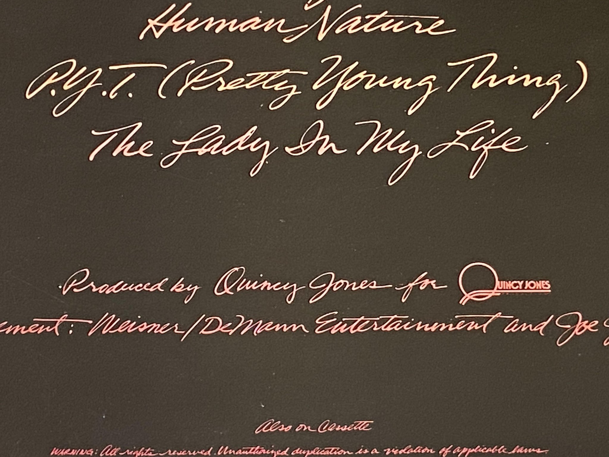 Omslagsbild för skivan MICHAEL JACKSON thriller LP -82 Hol EPIC EPC 85930