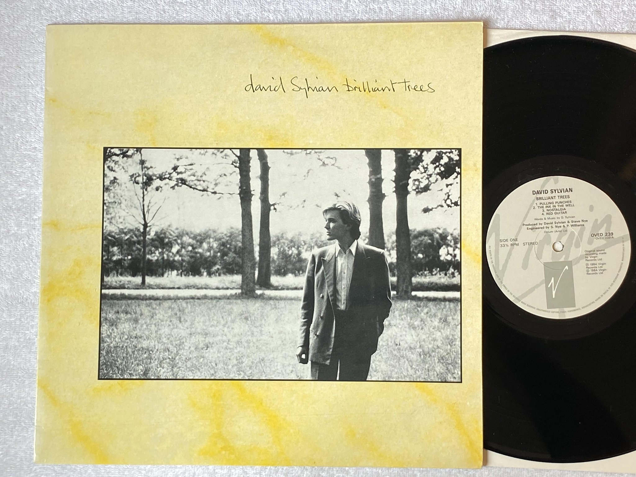 Omslagsbild för skivan DAVID SYLVIAN brilliant trees LP -84 VIRGIN OVED 239