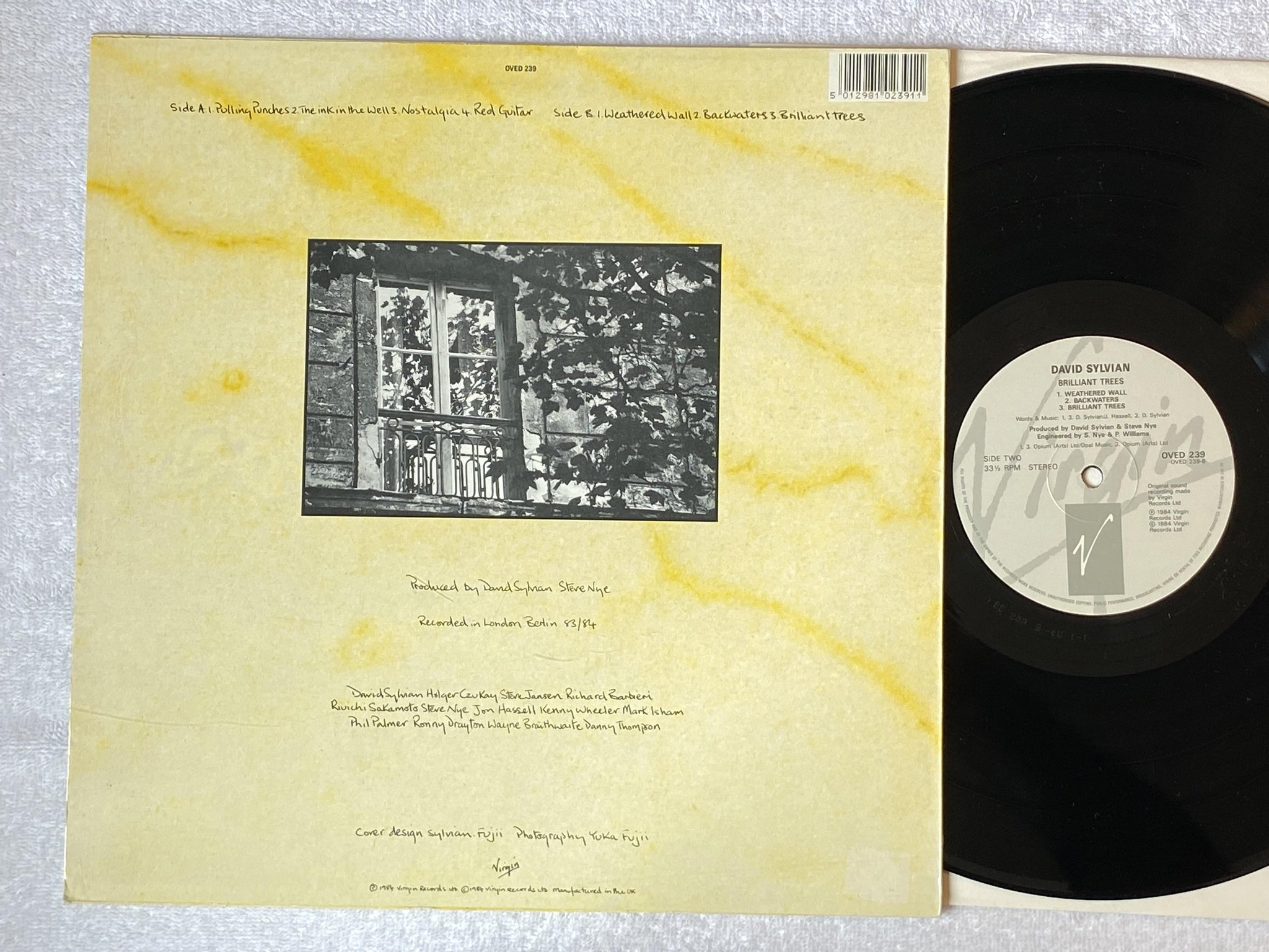 Omslagsbild för skivan DAVID SYLVIAN brilliant trees LP -84 VIRGIN OVED 239