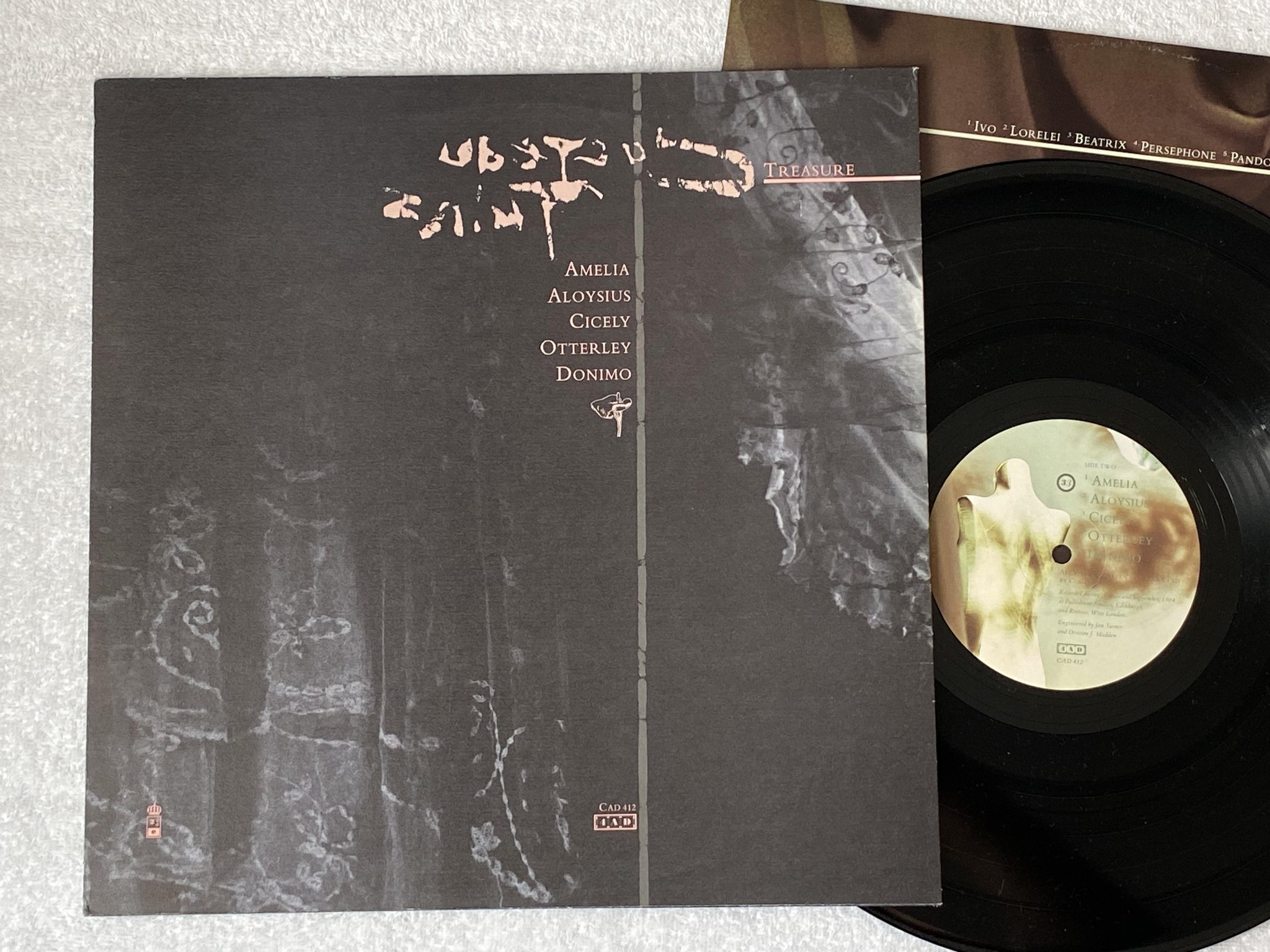 Omslagsbild för skivan COCTEAU TWINS treasure LP -84 4AD CAD 412