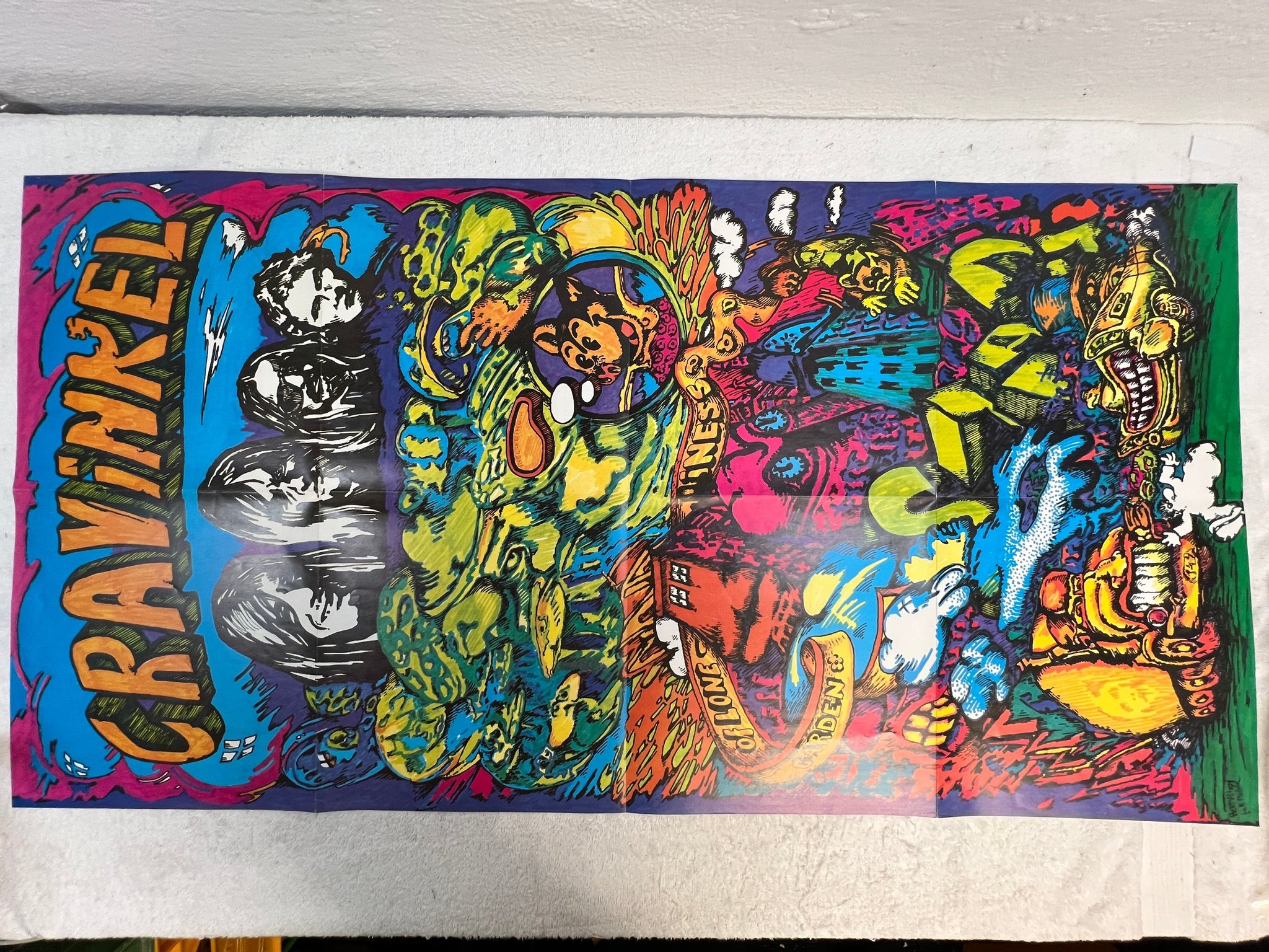 Omslagsbild för skivan CRAVINKEL Garden Of Loneliness LP -71 Ger PHILIPS 6305 124 **** W/ POSTER ****