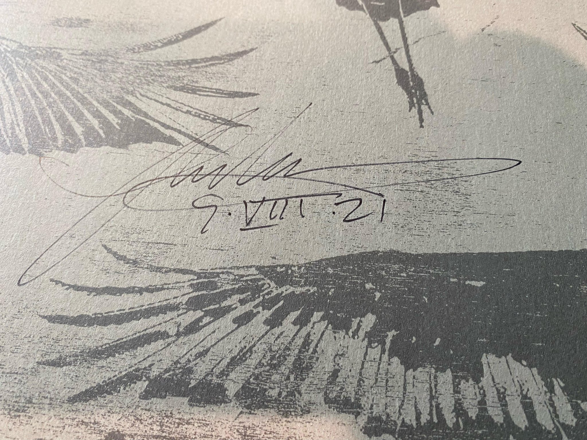 Omslagsbild för skivan ULF LUNDELL tranorna kommer LP 2019 PARLOPHONE 5054197045936 *** signed ***