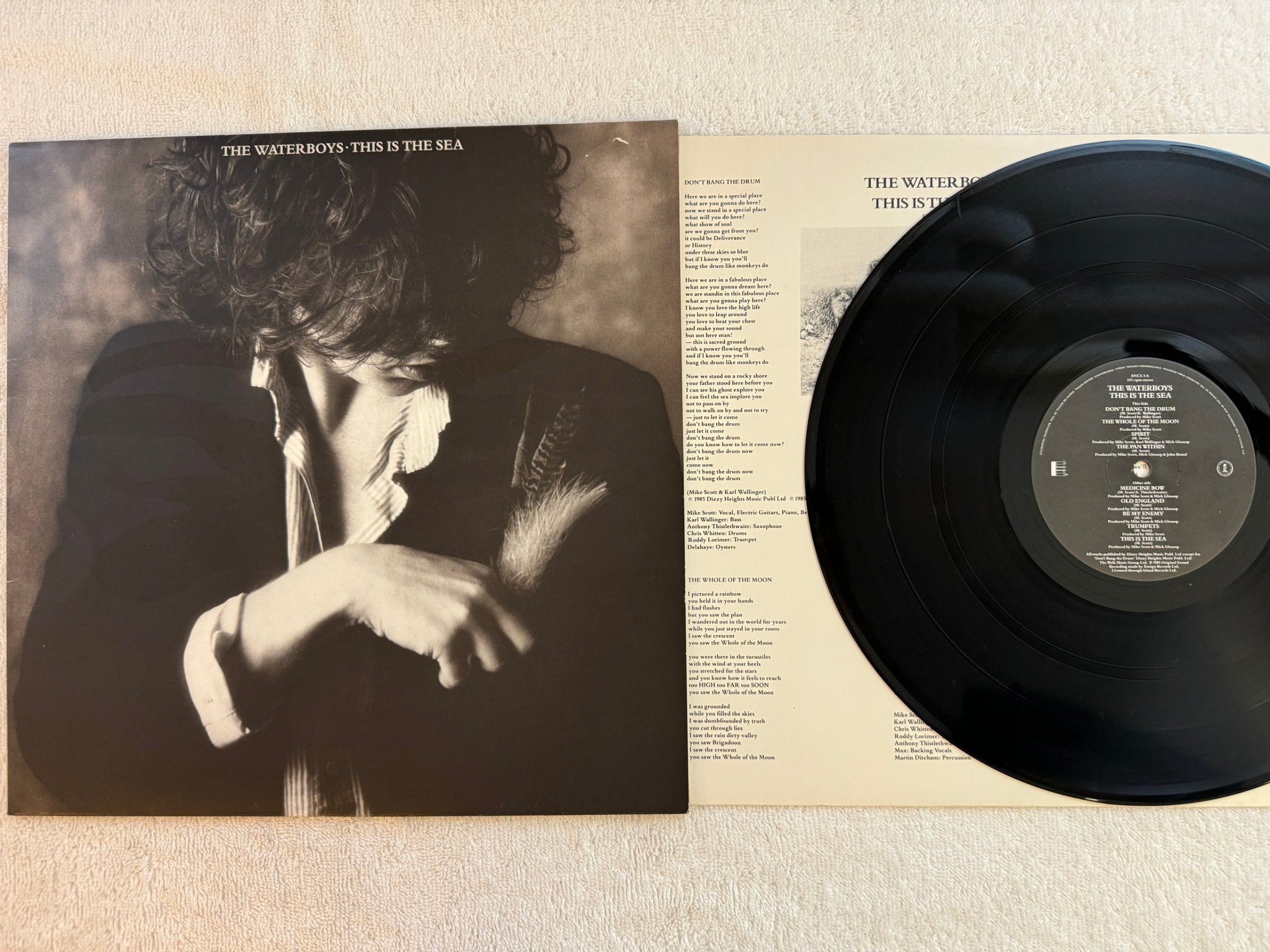 Omslagsbild för skivan THE WATERBOYS This Is The Sea LP -85 UK ENSIGN ENCL-5