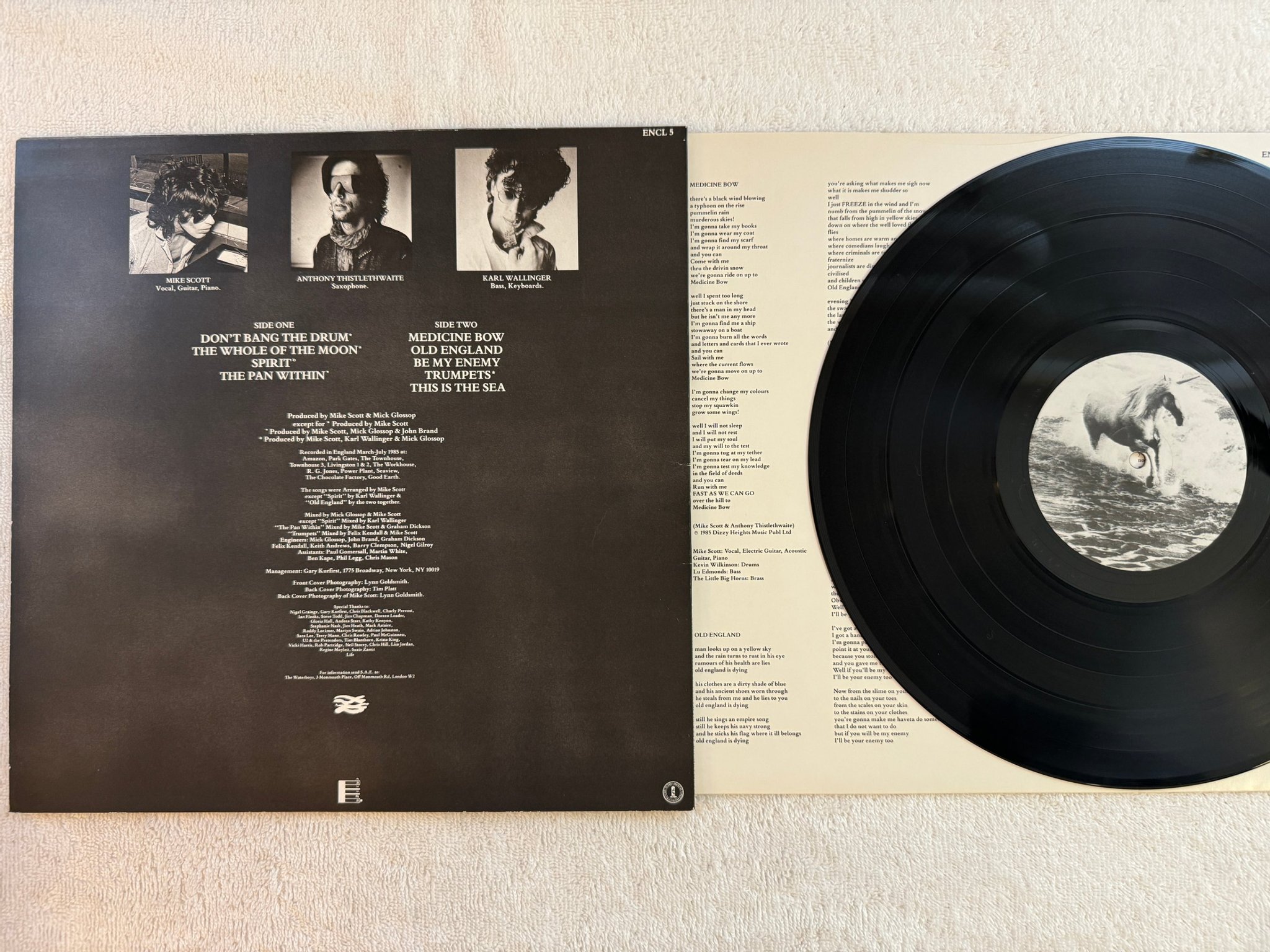 Omslagsbild för skivan THE WATERBOYS This Is The Sea LP -85 UK ENSIGN ENCL-5