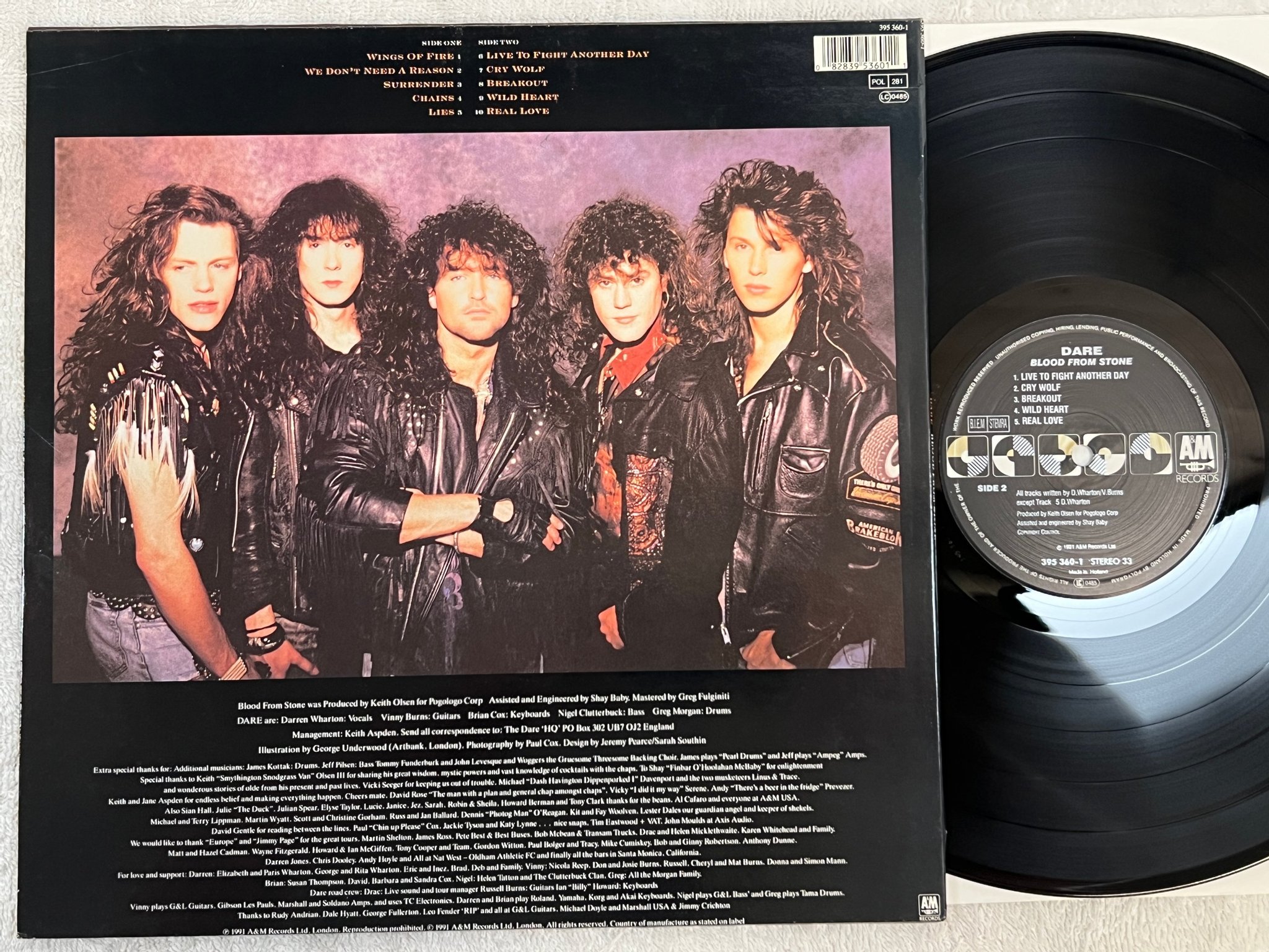 Omslagsbild för skivan DARE blood from stone LP -91 EU A&M 395 360-1