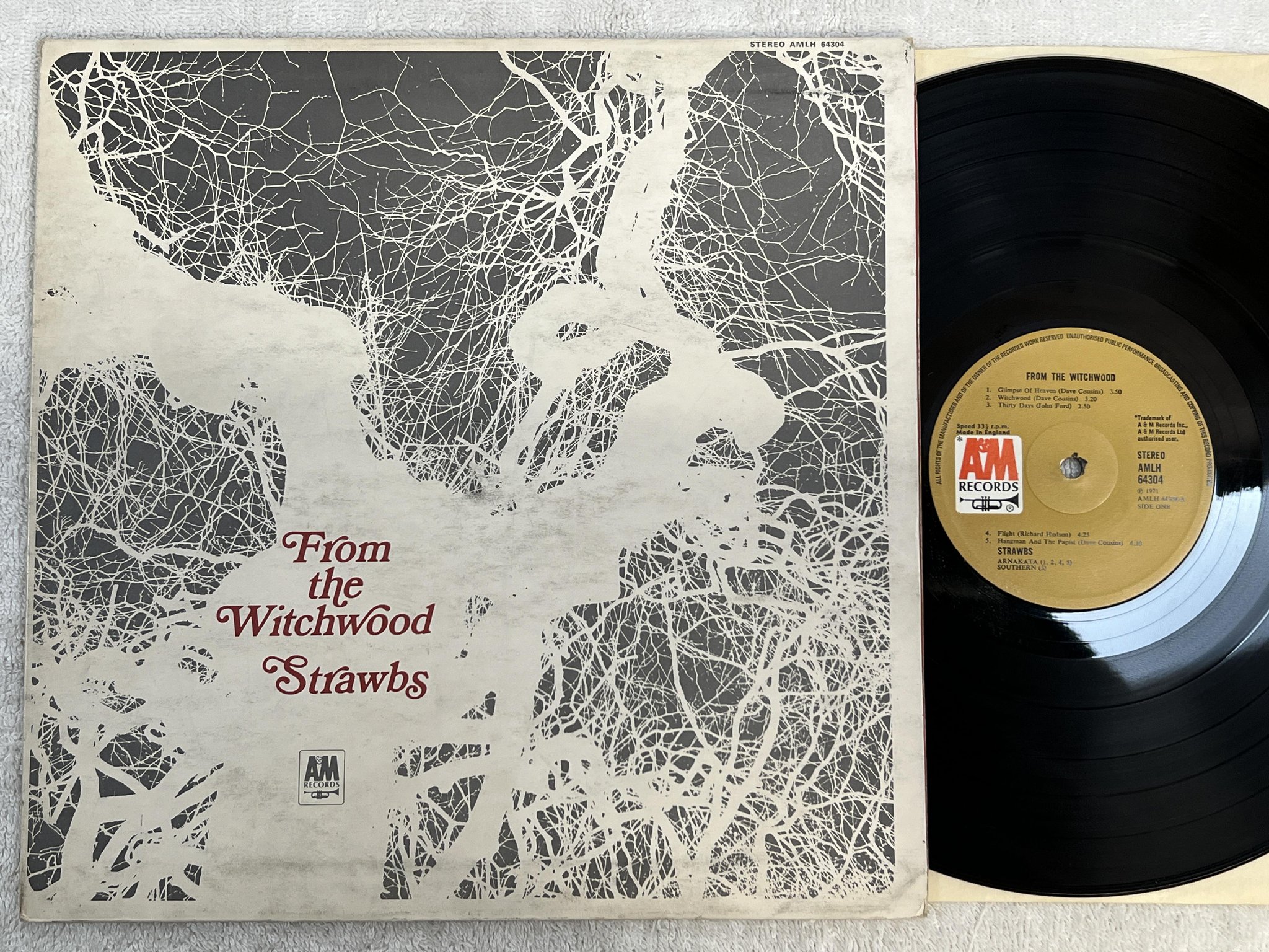 Omslagsbild för skivan STRAWBS from the witchwood LP -71 UK A&M AMLH 64304