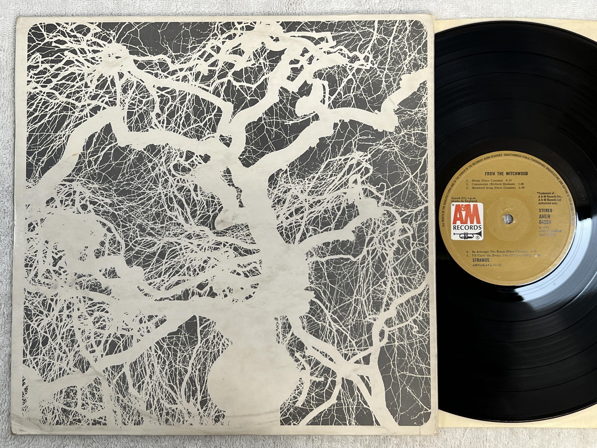 Omslagsbild för skivan STRAWBS from the witchwood LP -71 UK A&M AMLH 64304
