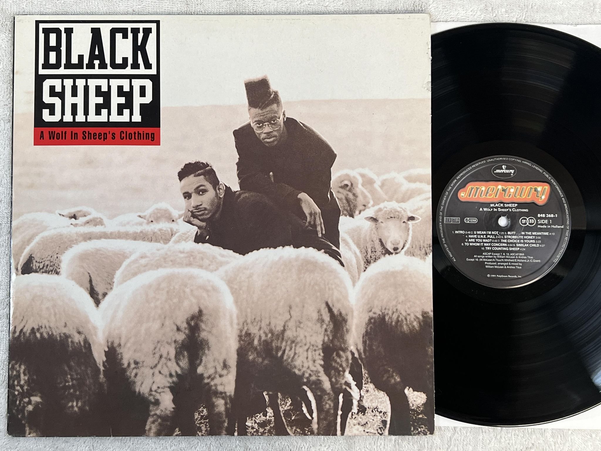Omslagsbild för skivan BLACK SHEEP a wolf in sheep's clothing LP -91 Hol MERCURY 848 368-1