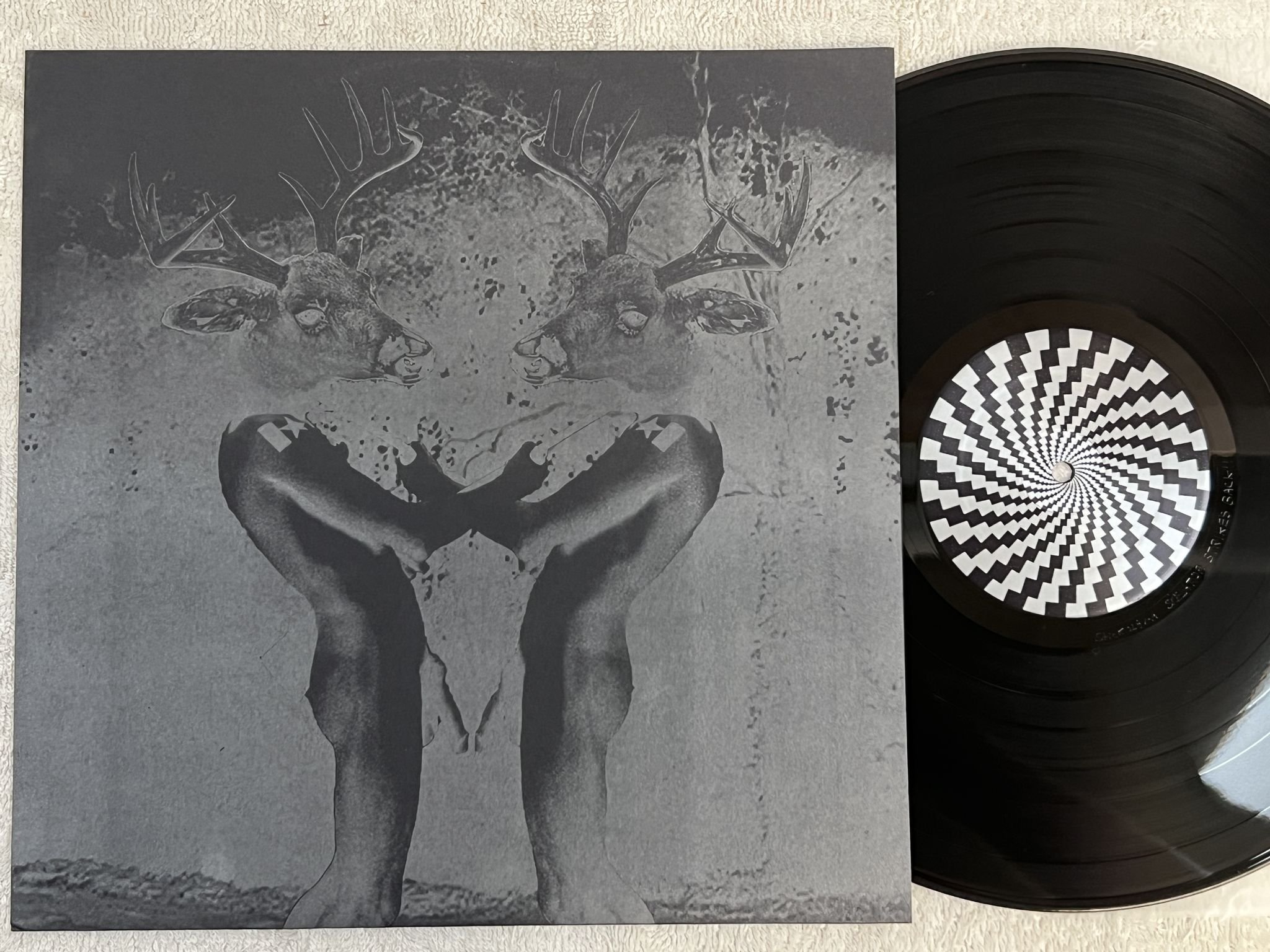 Omslagsbild för skivan DEERHUNTER s/t LP 2005 US STICKFIGURE stick018 *** Rare Noise / punk ***