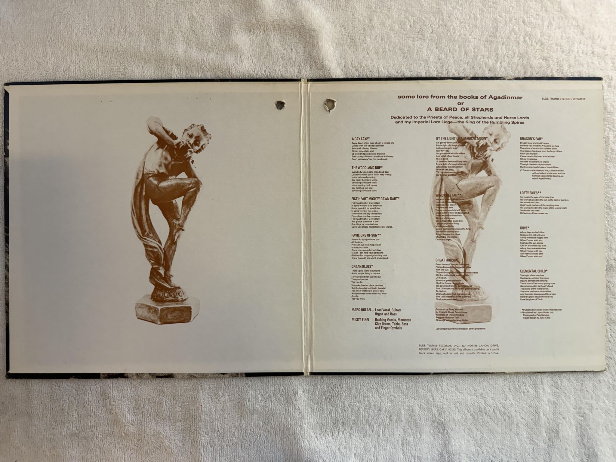 Omslagsbild för skivan TYRANNOSAURUS REX a beard of stars LP -71 US BLUE THUMB BTS 8818