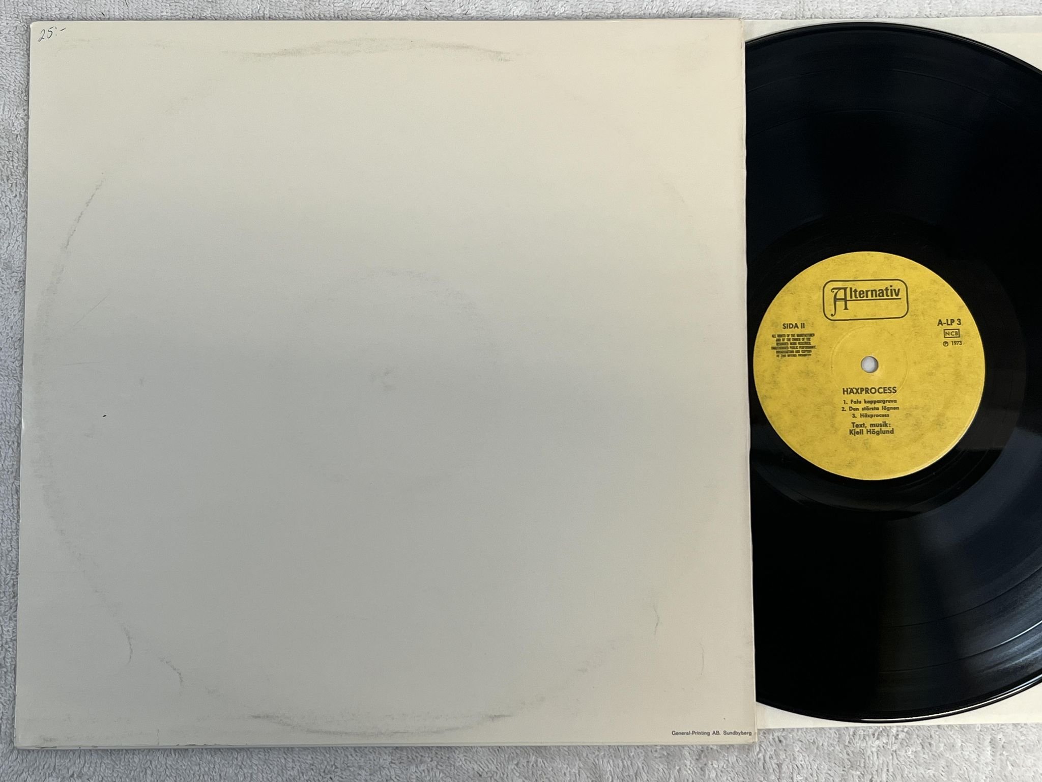 Omslagsbild för skivan KJELL HÖGLUND häxprocess LP -73 Swe ALTERNATIV A-LP 3