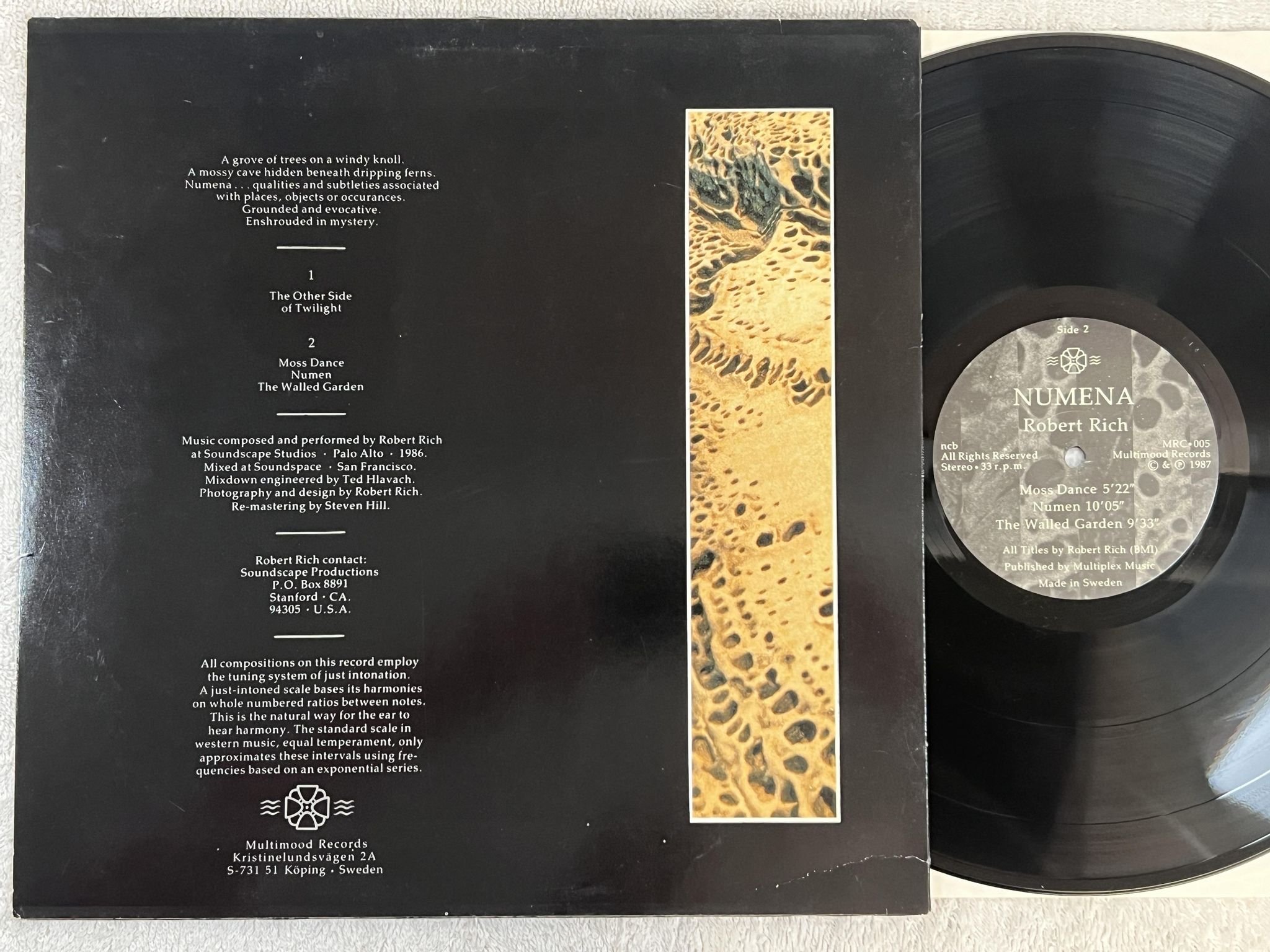 Omslagsbild för skivan ROBERT RICH numena LP -87 Swe MULTIMOOD MRC 005