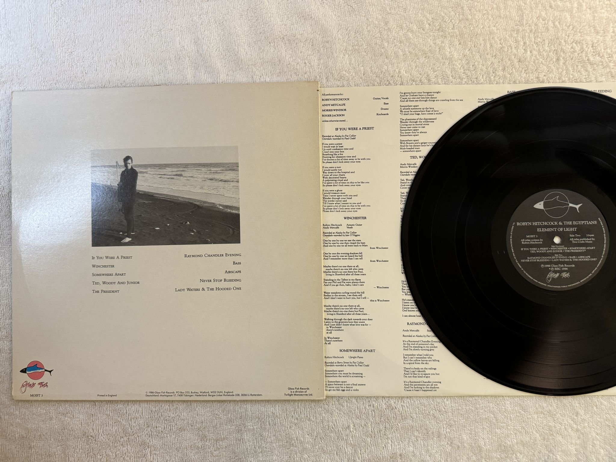 Omslagsbild för skivan ROBYN HITCHCOCK N THE EGYPTIANS Element Of Light LP -86 UK GLASS FISH MOIST 3