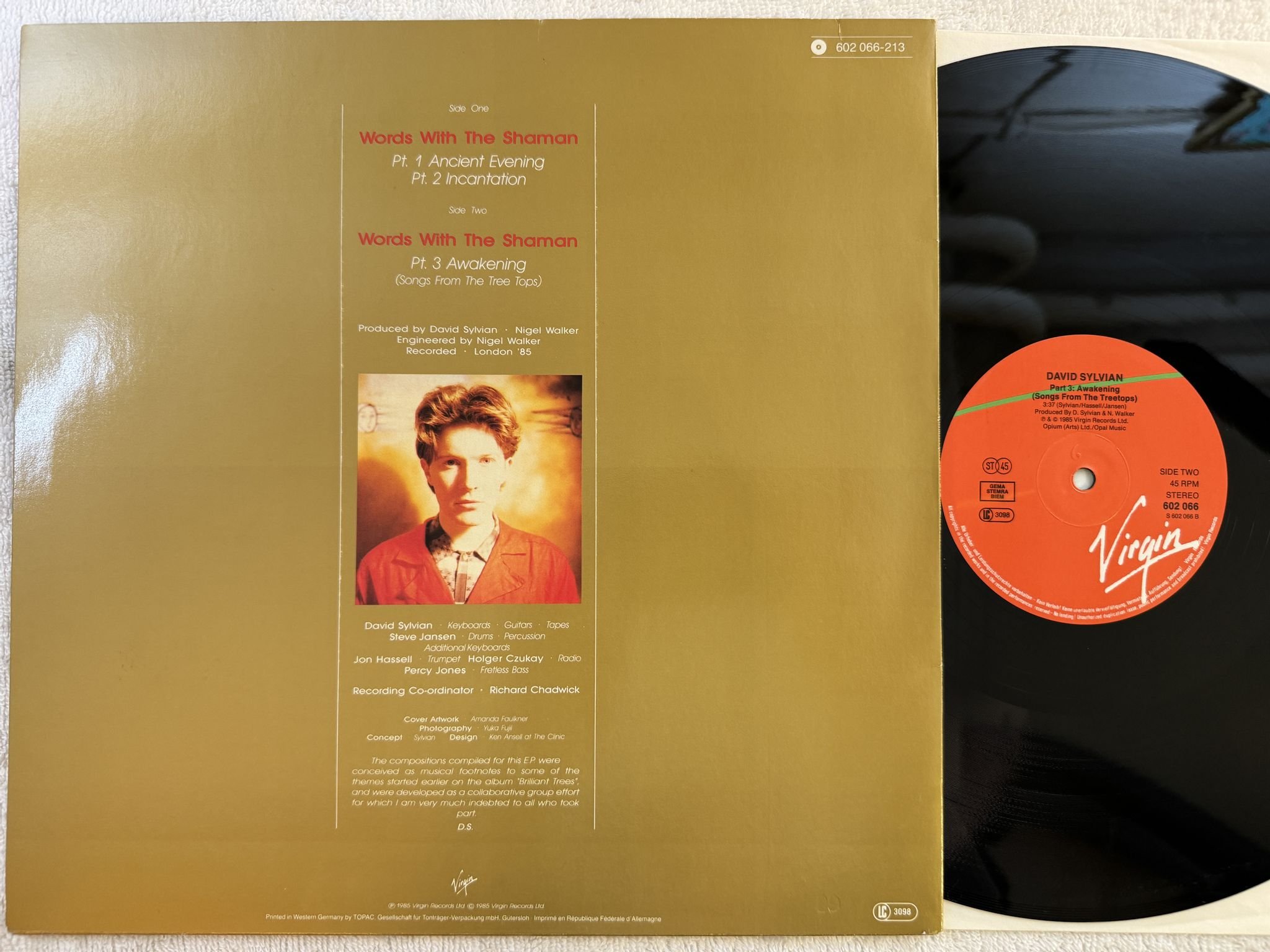 Omslagsbild för skivan DAVID SYLVIAN Words With The Shaman 12" -85 VIRGIN 602066