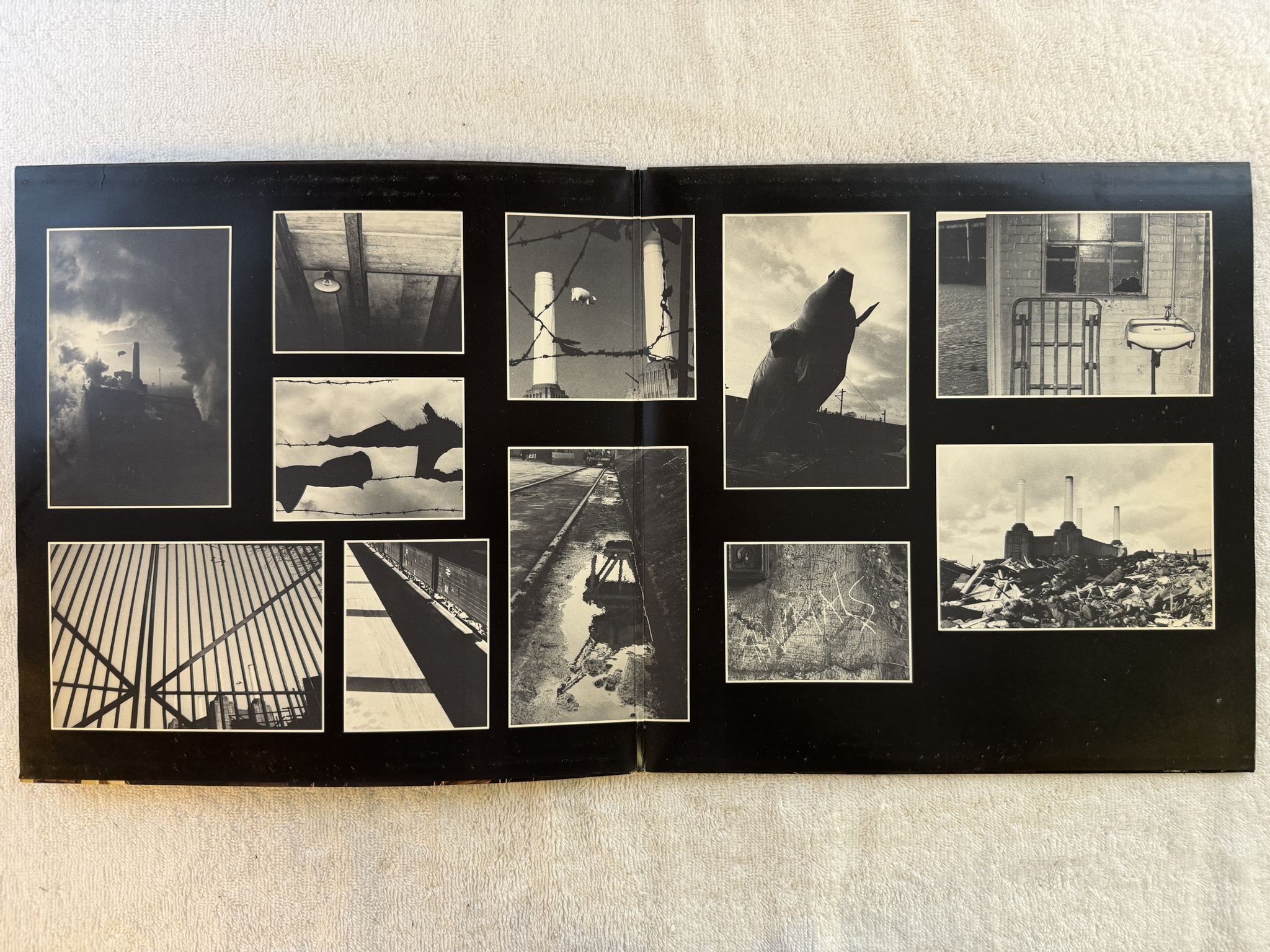 Omslagsbild för skivan THE PINK FLOYD animals LP -77 ncb HARVEST 7c 064-98434