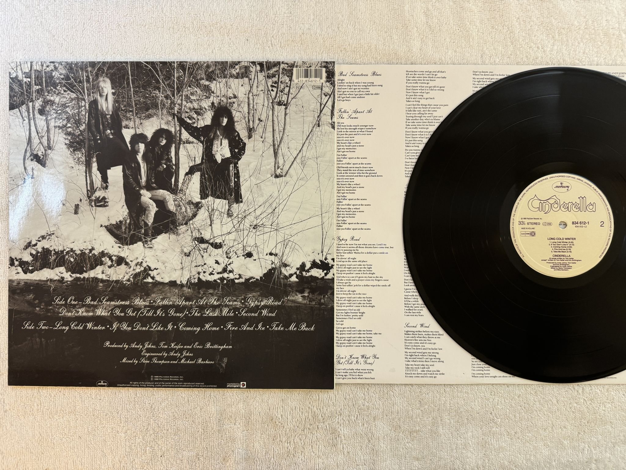 Omslagsbild för skivan CINDERELLA long cold winter LP -88 Hol MERCURY 834612-1