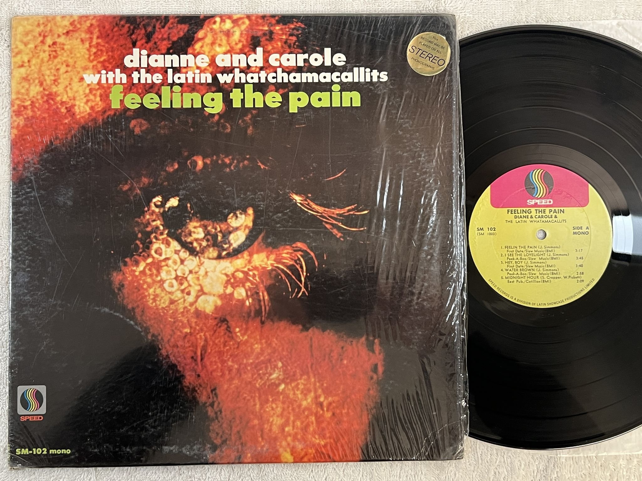 Omslagsbild för skivan DIANE & CAROLE & THE LATIN WHATAMACALLITS feeling the pain LP -68 rare boogaloo