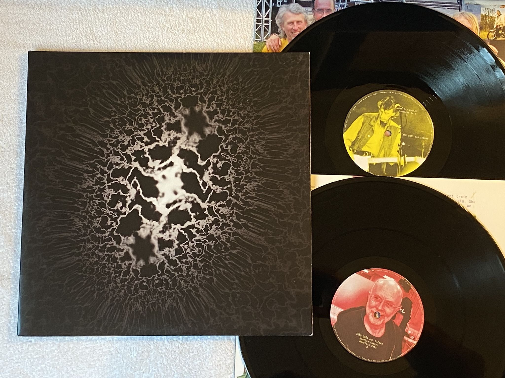 Omslagsbild för skivan TRÄD GRÄS OCH STENAR Hemlösa Katter 2xLP 2009 SUBLIMINAL SOUNDS XMLP-SUB 32