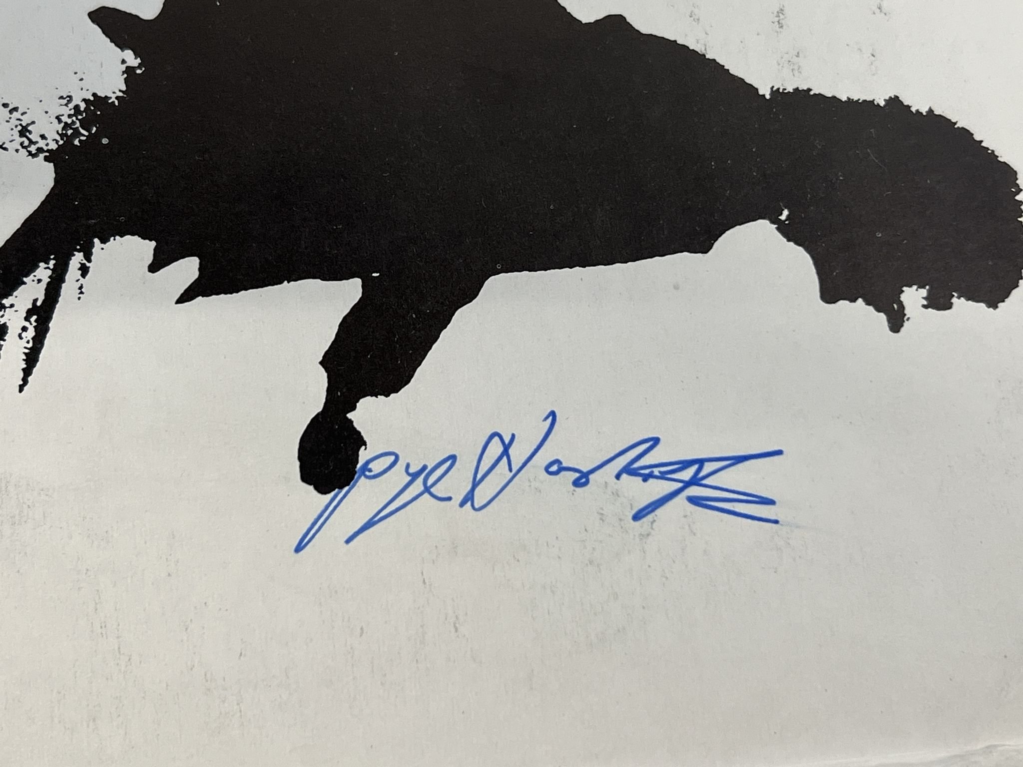 Omslagsbild för skivan CARAVAN In The Land Of Grey And Pink LP -72 UK DERAM SDL R1 ** SIGNED COVER **