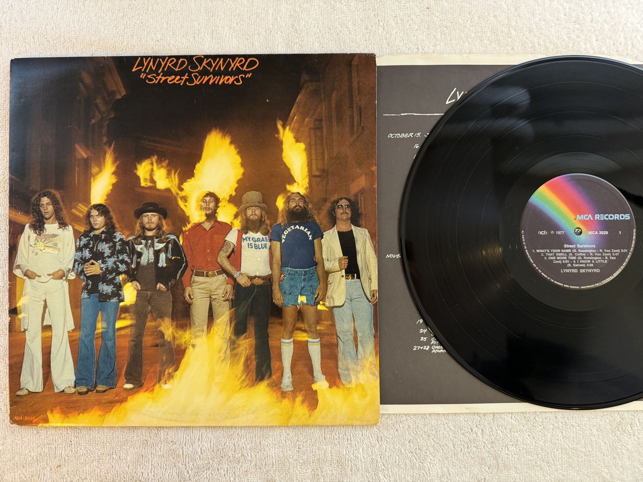 Omslagsbild för skivan LYNYRD SKYNYRD street survivors LP -77 ncb MCA 3029
