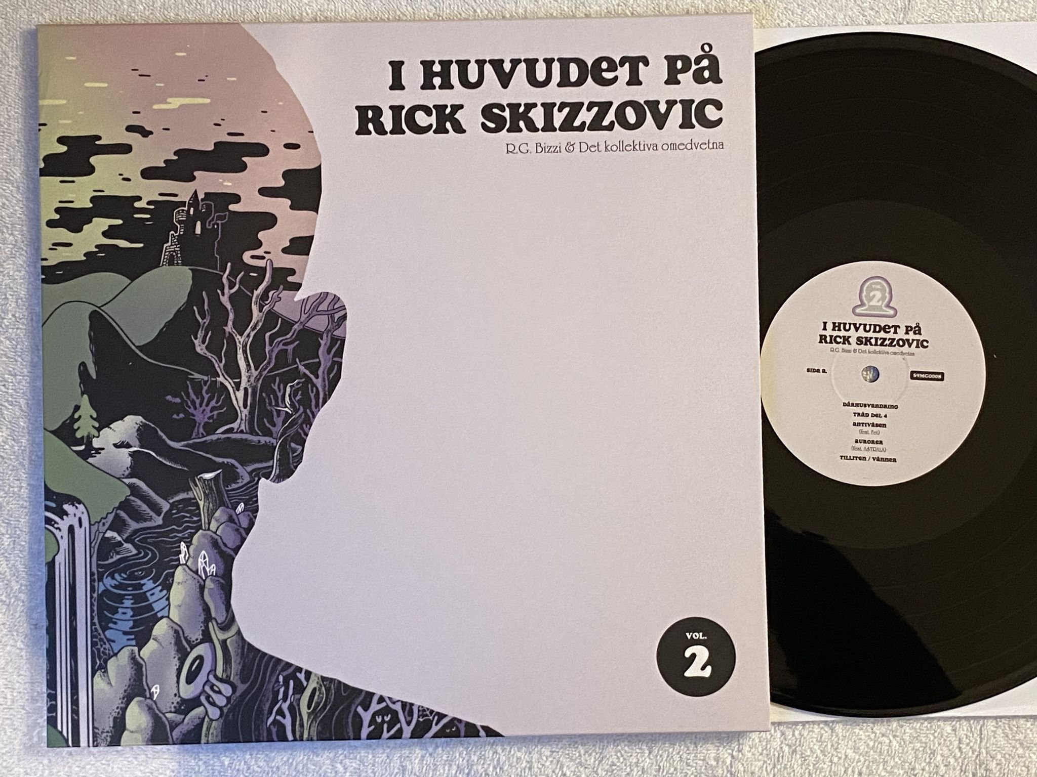 Omslagsbild för skivan R.G. Bizzi & Det Kollektiva Omedvetna – I Huvudet På Rick Skizzovic Vol. 2 LP
