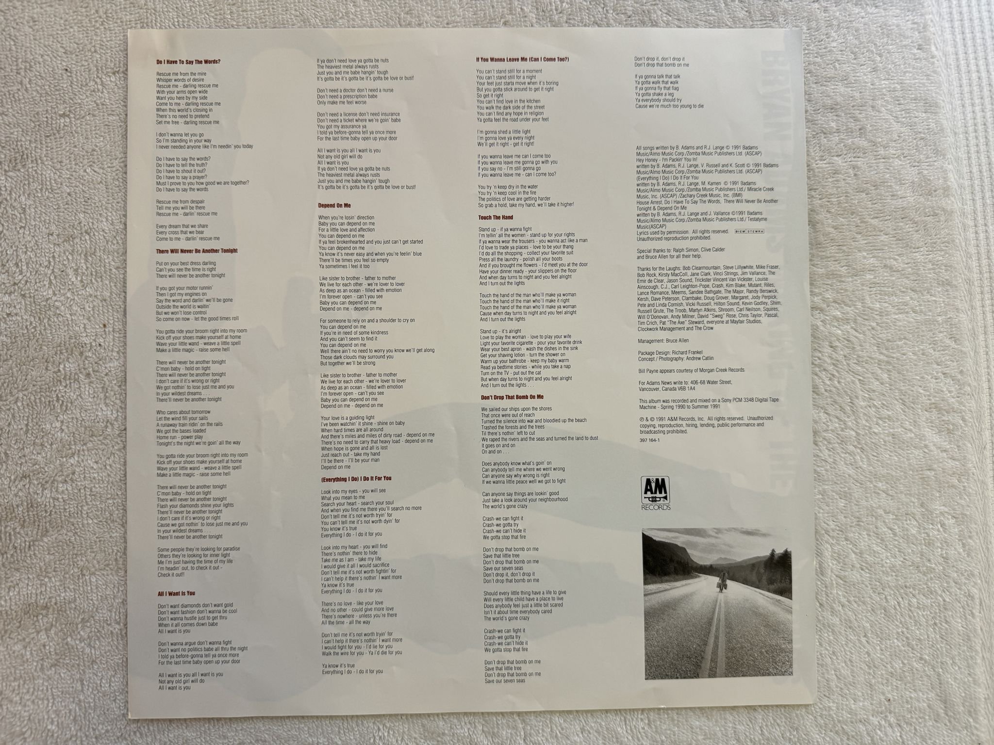 Omslagsbild för skivan BRYAN ADAMS waking up the neighbours 2xLP -91 A&M 397 164-1