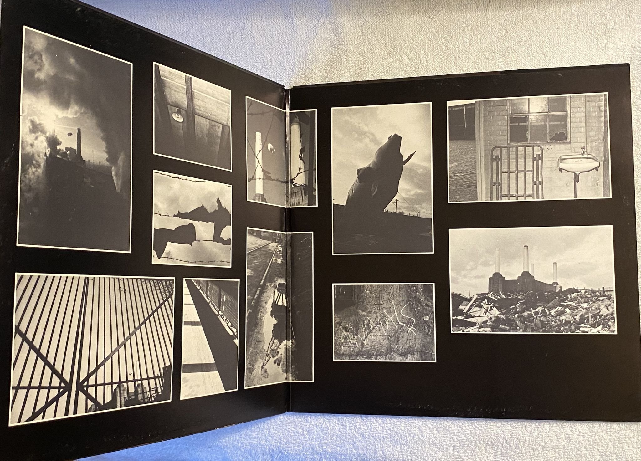 Omslagsbild för skivan PINK FLOYD animals LP ncb HARVEST 7C 064-98434