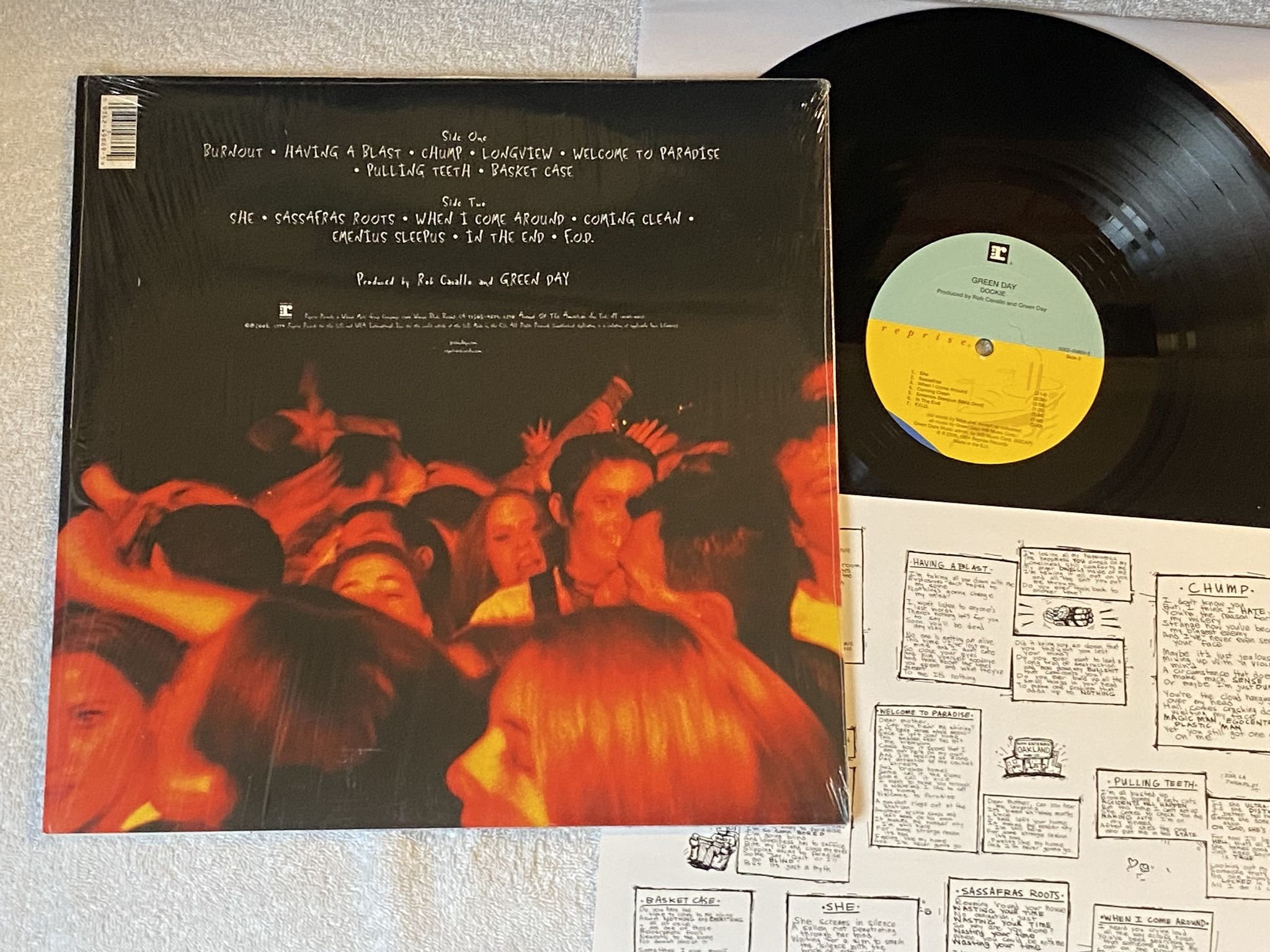 Omslagsbild för skivan GREEN DAY dookie LP re 2008 Eu REPRISE 9362-49869-5