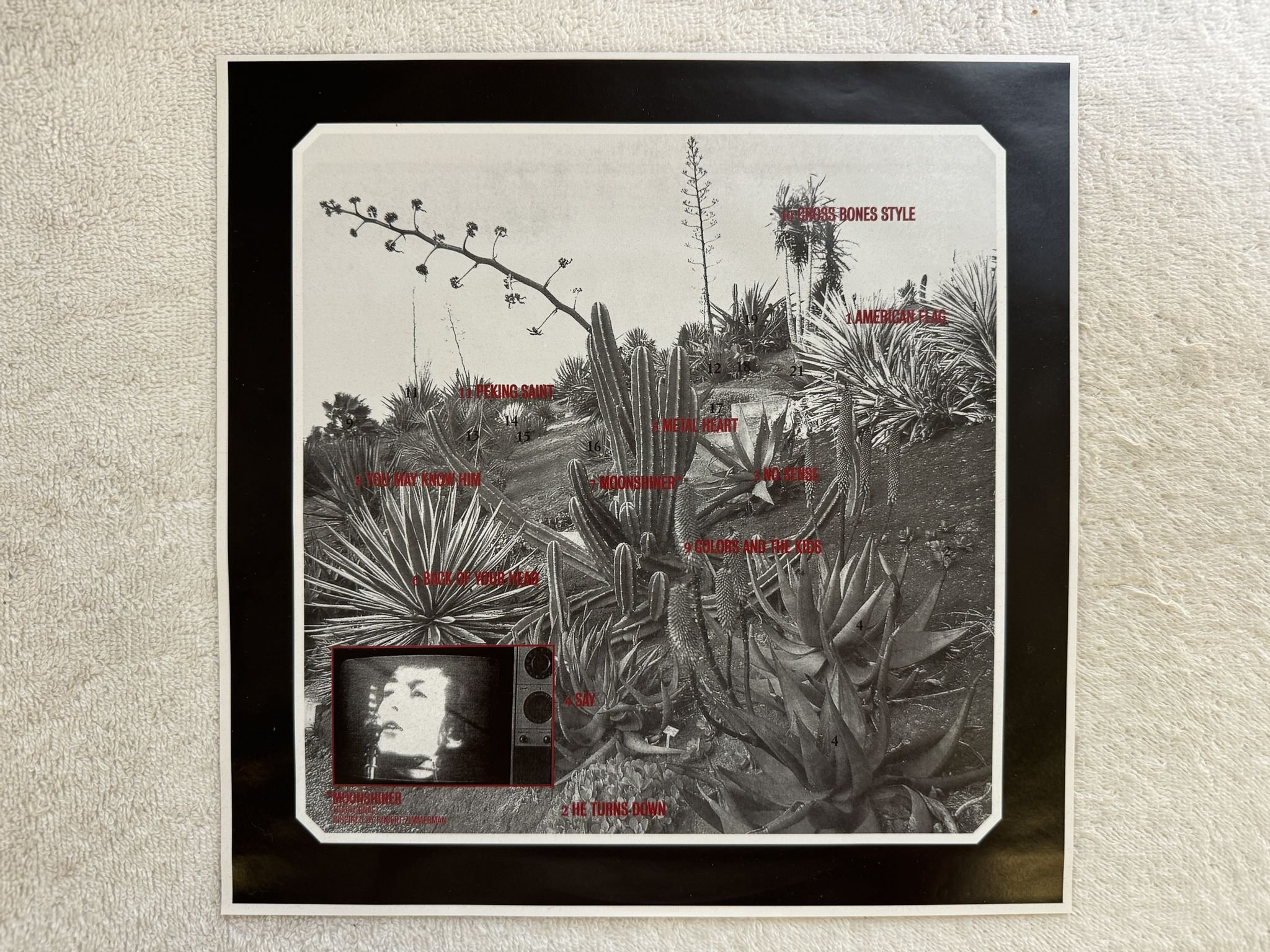 Omslagsbild för skivan CAT POWER Moon Pix LP re 2007 US 180 gram MATADOR OLE 286-1