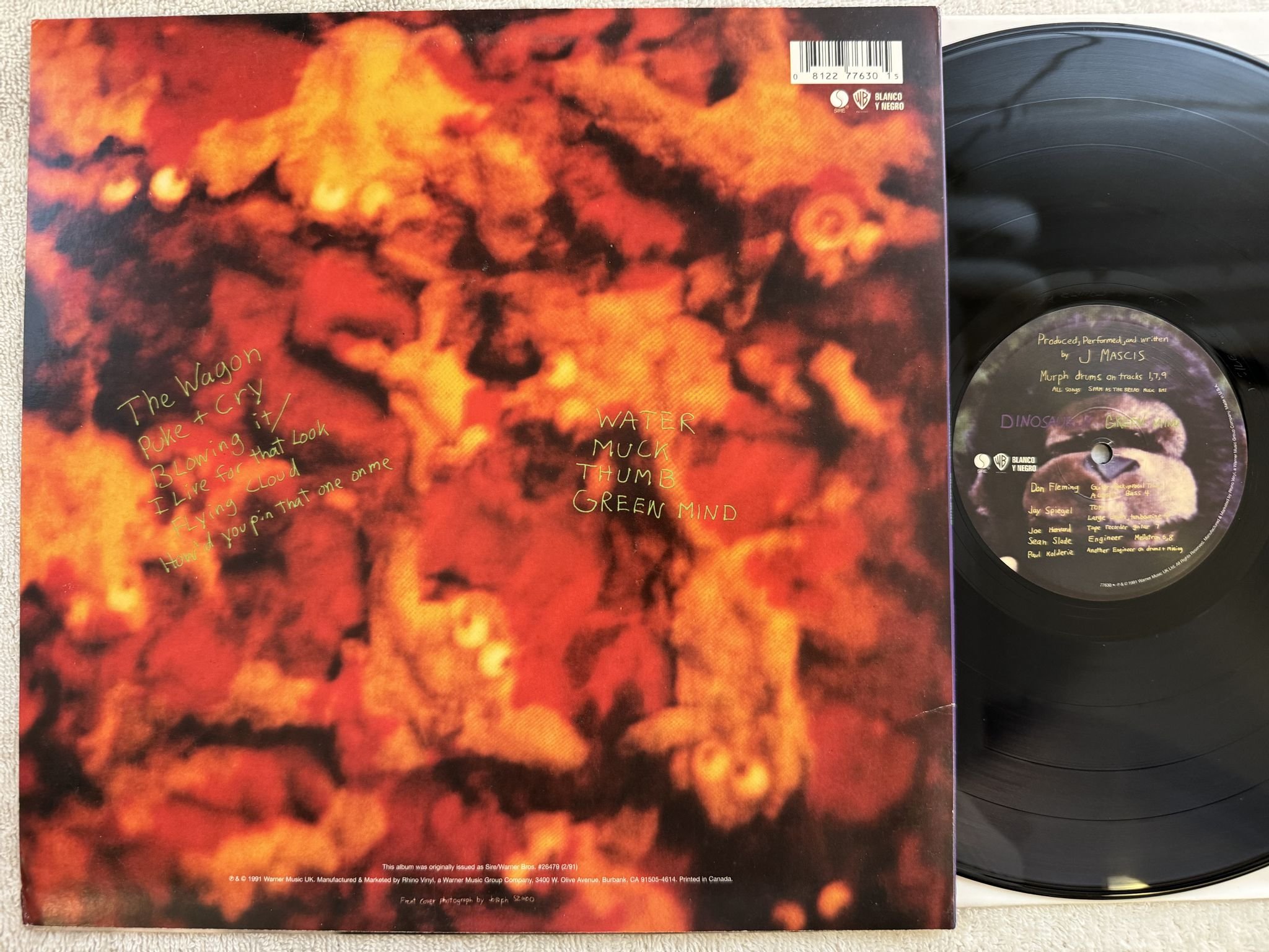 Omslagsbild för skivan DINOSAUR JR Green Mind LP re 2006 Blanco Y Negro 77630