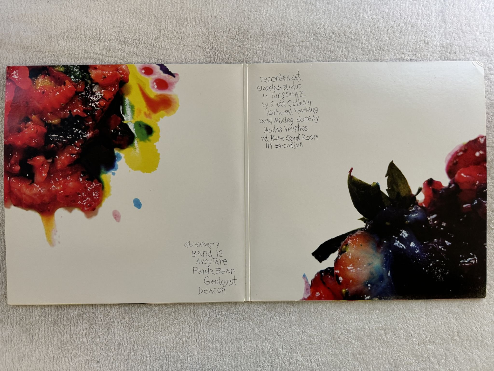 Omslagsbild för skivan ANIMAL COLLECTIVE Strawberry Jam 2xLP 2007 DOMINO WIGLP199