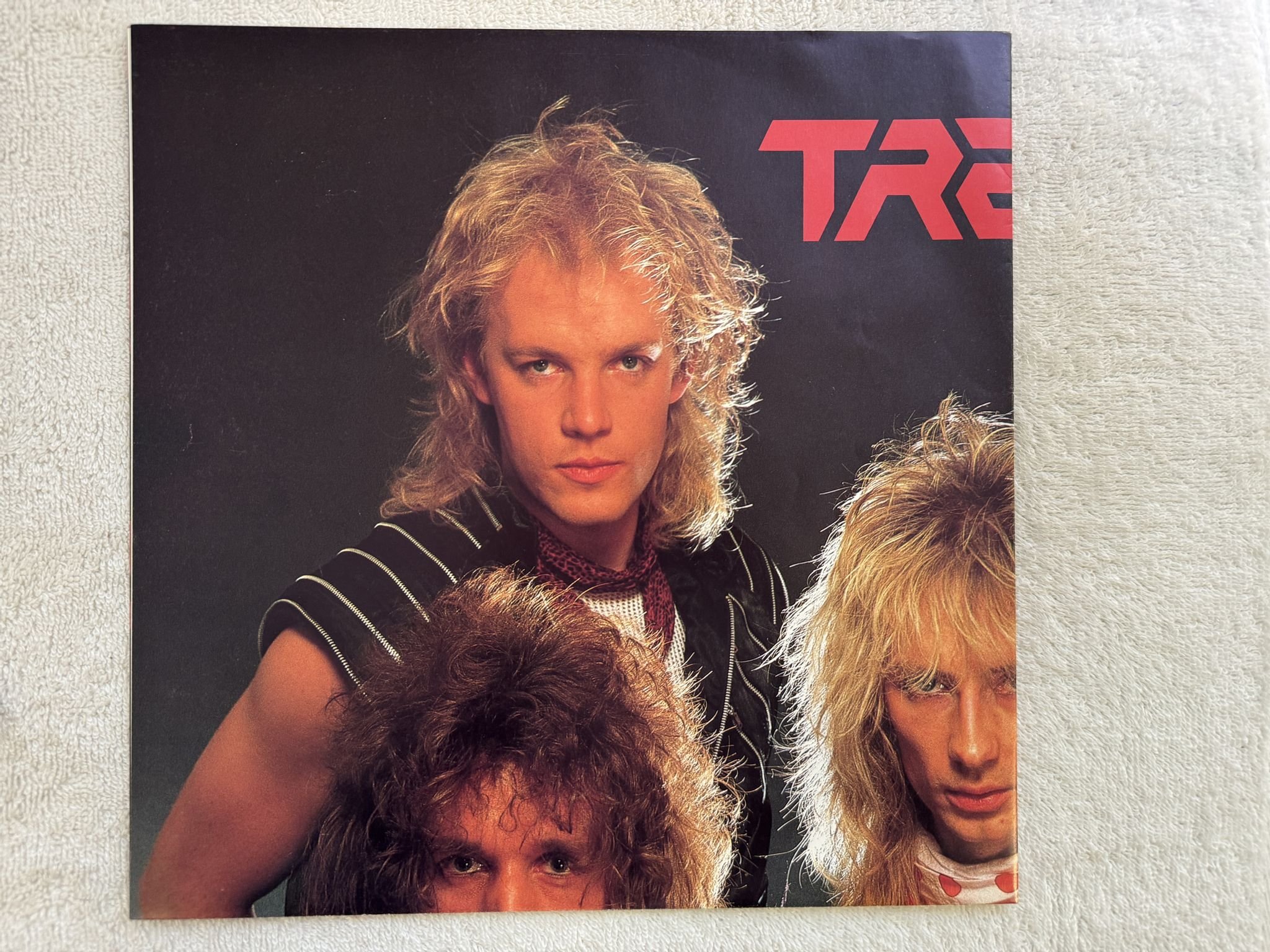 Omslagsbild för skivan TREAT scratch and bite LP -85 ncb MERCURY 824 353-1 *** Poster ***