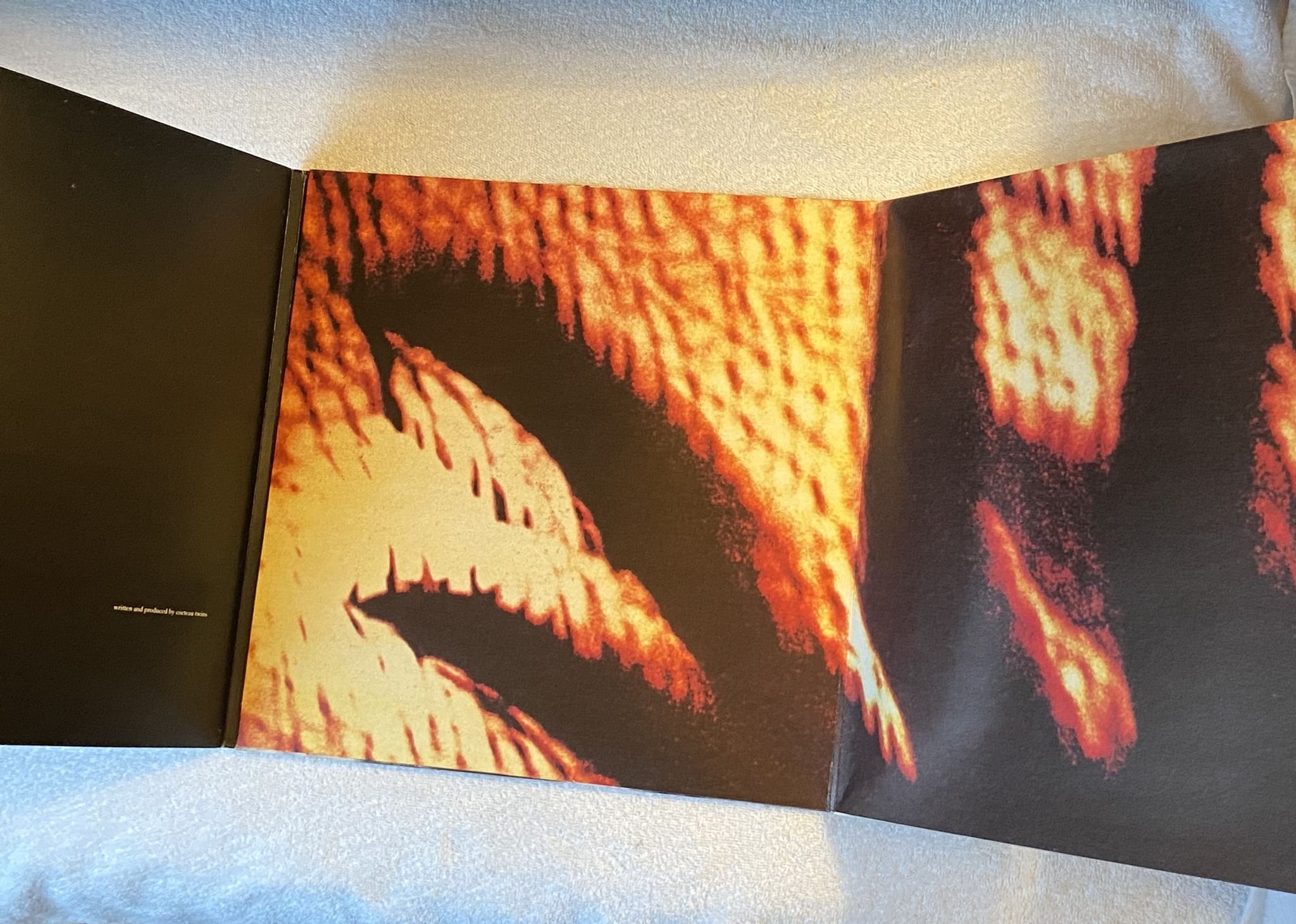 Omslagsbild för skivan COCTEAU TWINS Blue Bell Knoll LP -88 ncb 4AD CAD 807