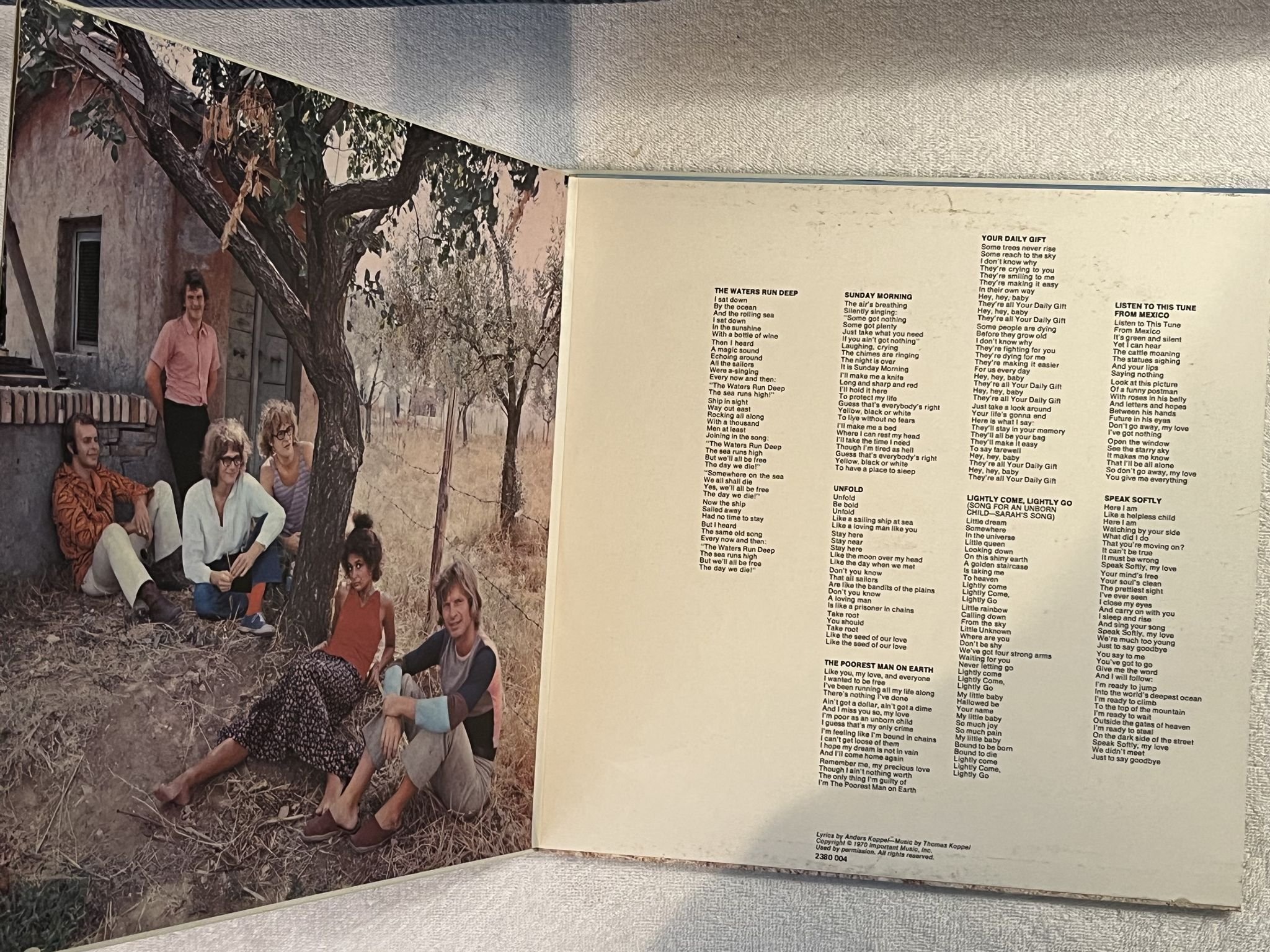 Omslagsbild för skivan THE SAVAGE ROSE Your Daily Gift LP -74 POLYDOR 2444 022