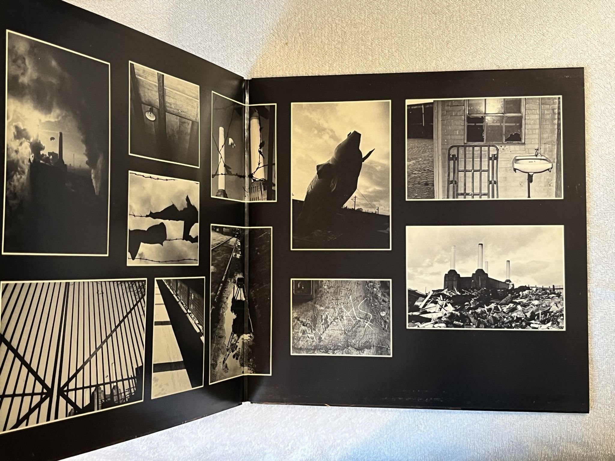 Omslagsbild för skivan PINK FLOYD animals LP -77 ncb HARVEST 7C 064-98434