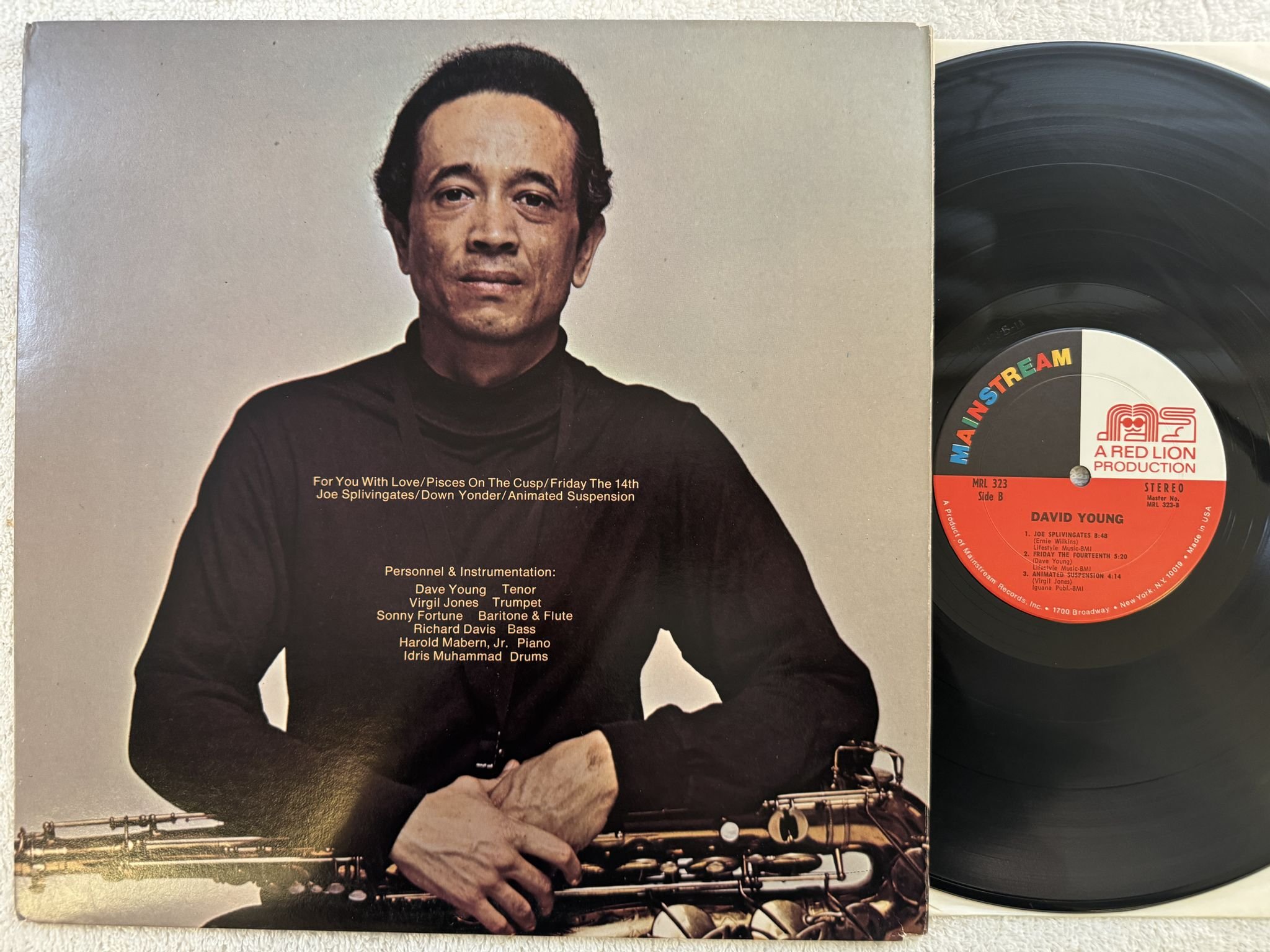 Omslagsbild för skivan DAVID YOUNG s/t LP -71 US MAINSTREAM MRL 323