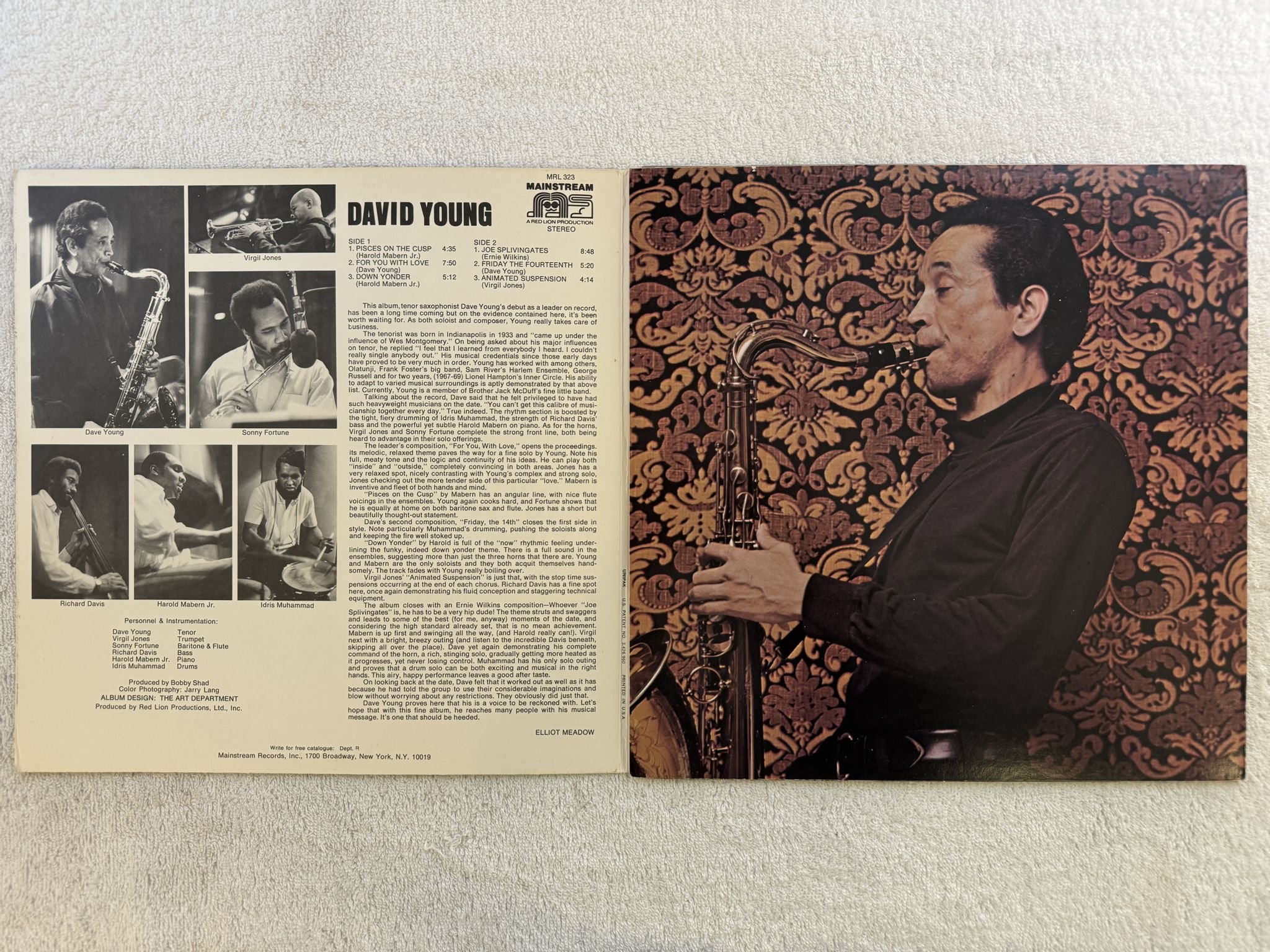 Omslagsbild för skivan DAVID YOUNG s/t LP -71 US MAINSTREAM MRL 323