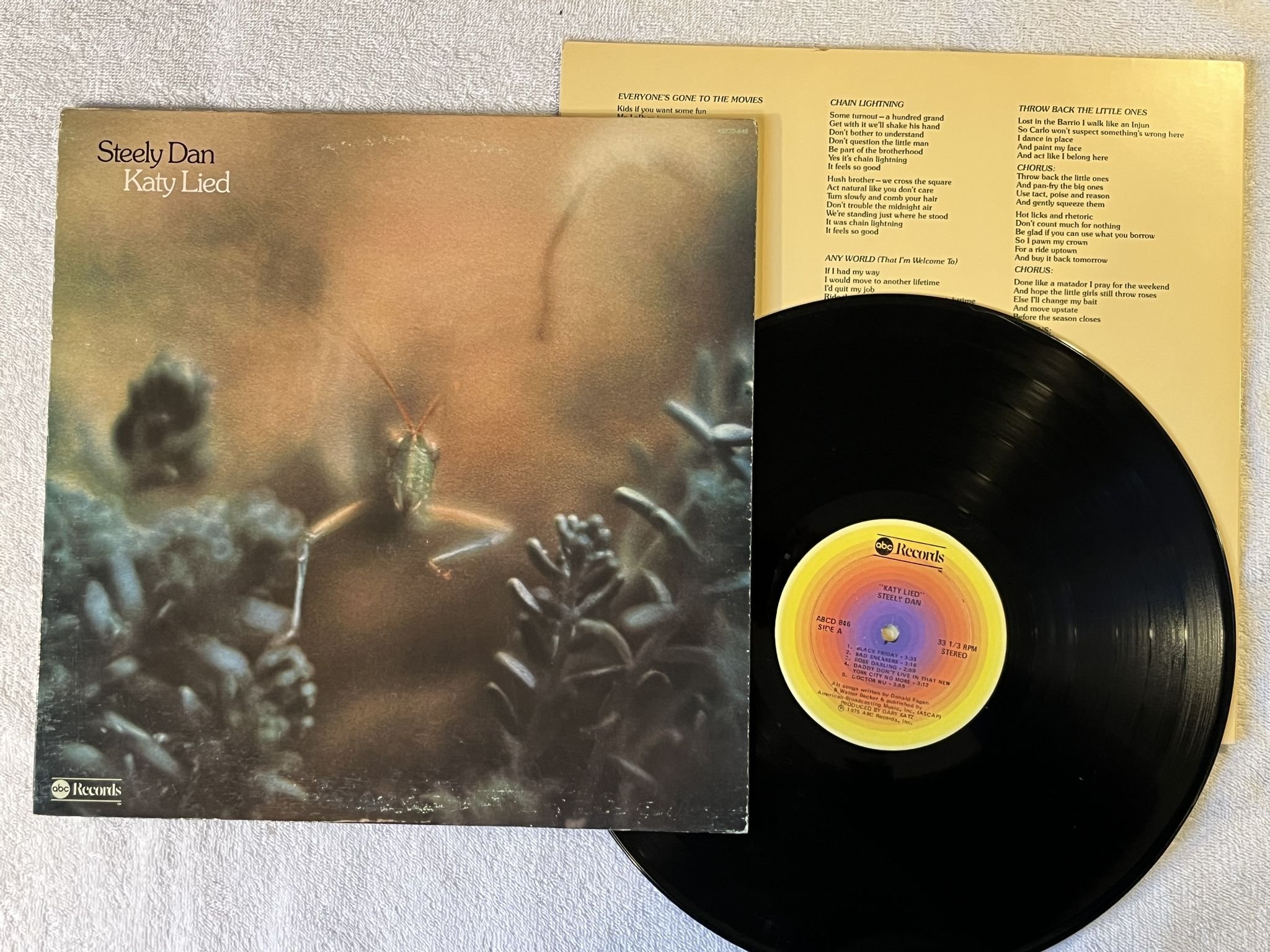 Omslagsbild för skivan STEELY DAN katy lied LP -75 US ABC ABCD 846