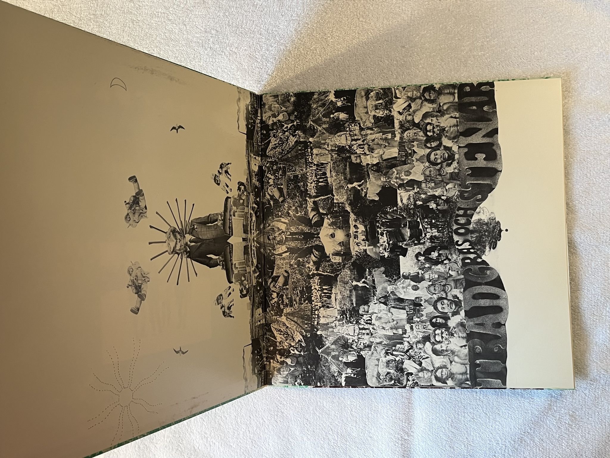 Omslagsbild för skivan TRÄD GRÄS OCH STENAR LP re Swe DECIBEL DRS 3702 *** SUPER RARE ***