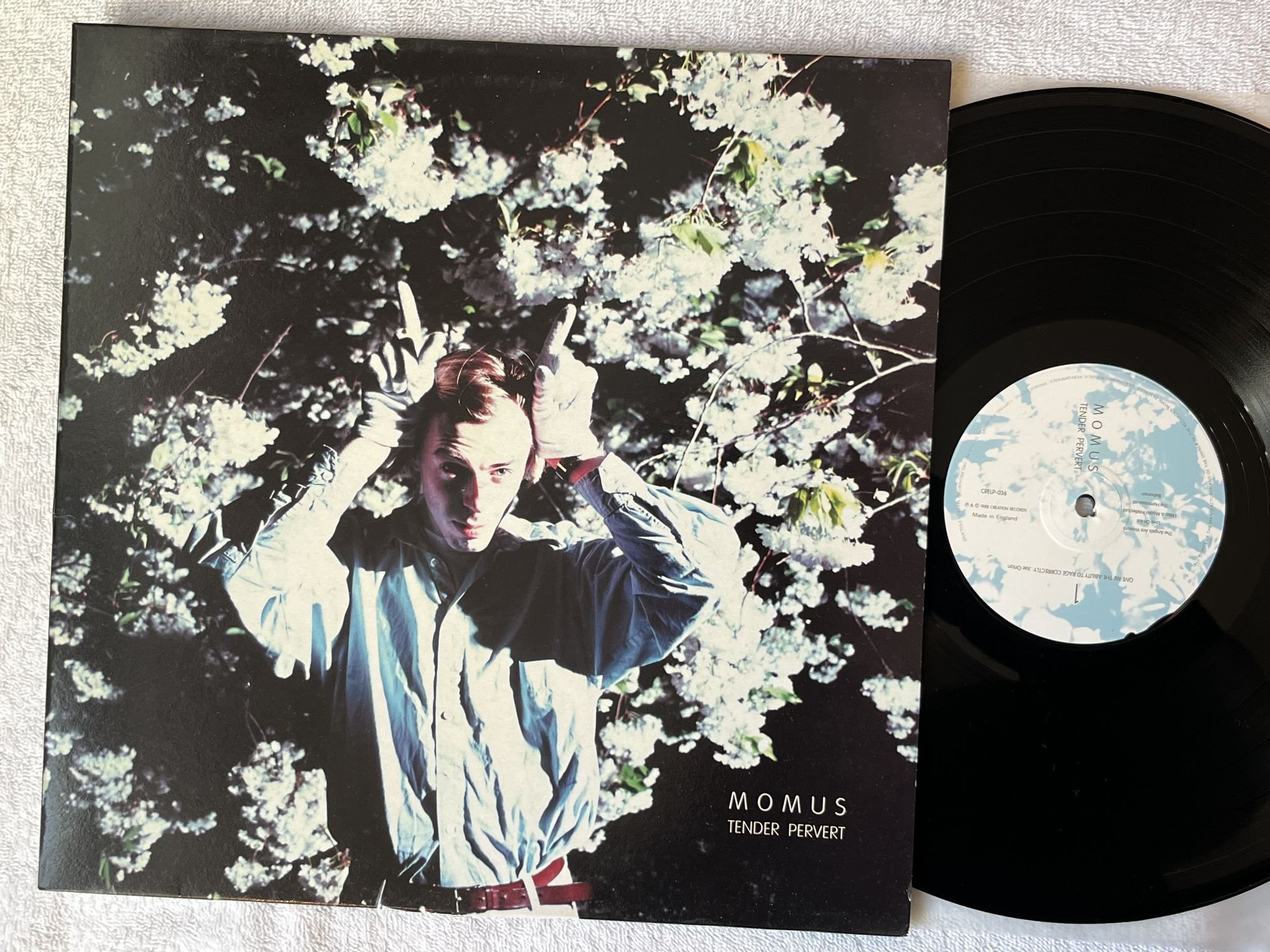Omslagsbild för skivan MOMUS Tender Pervert LP -88 UK CREATION CRELP-036