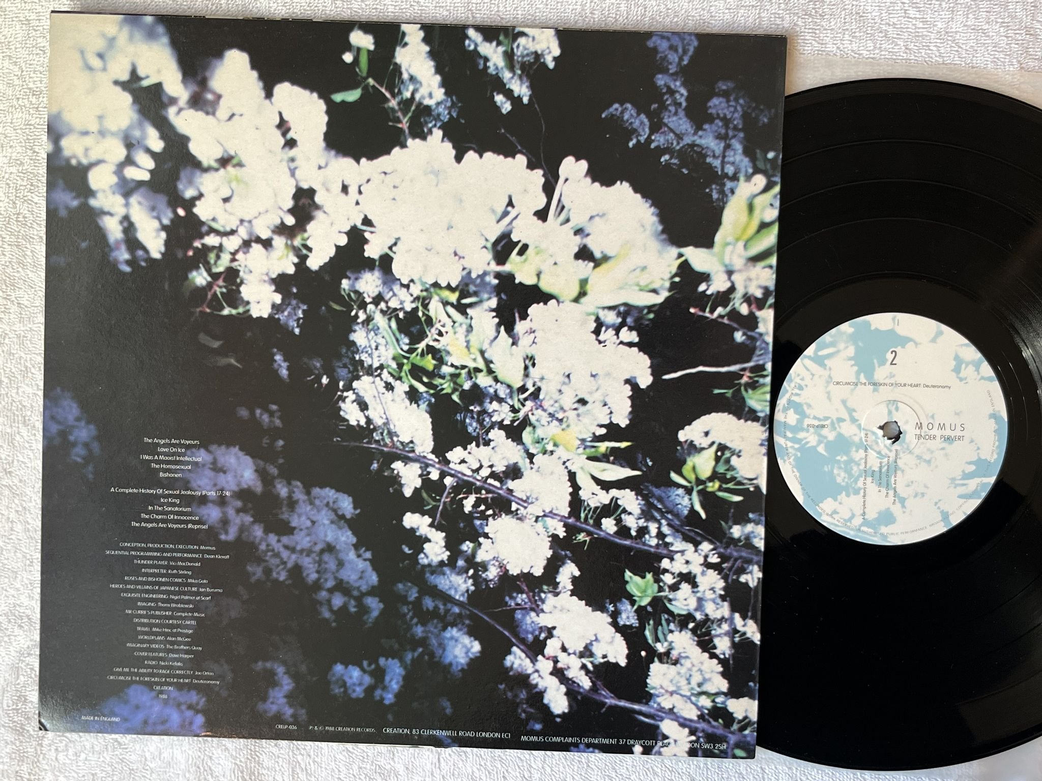 Omslagsbild för skivan MOMUS Tender Pervert LP -88 UK CREATION CRELP-036