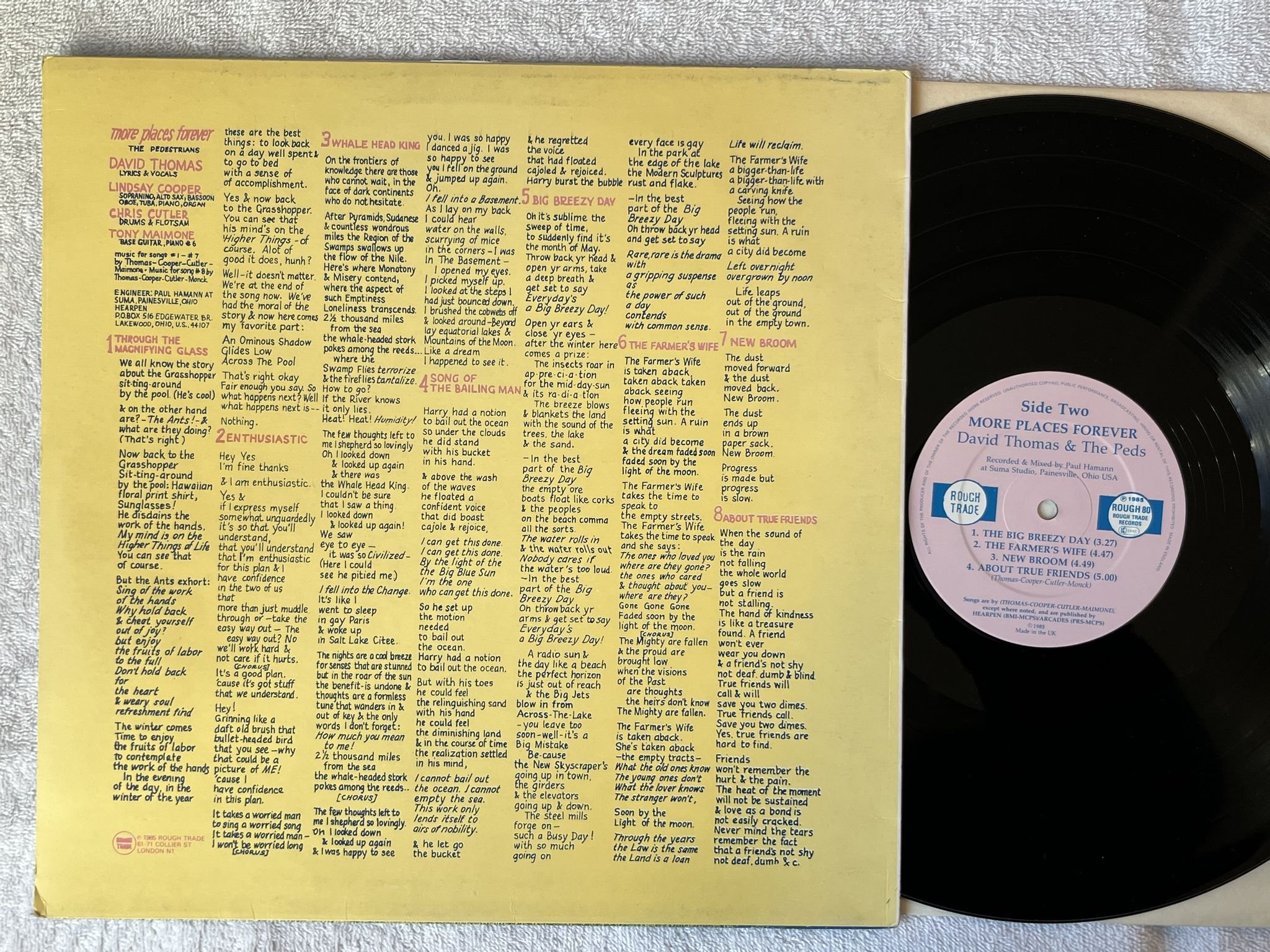 Omslagsbild för skivan DAVID THOMAS & THE PEDESTRIANS More Places Forever LP -85 US TWIN/TONE TTR 8551