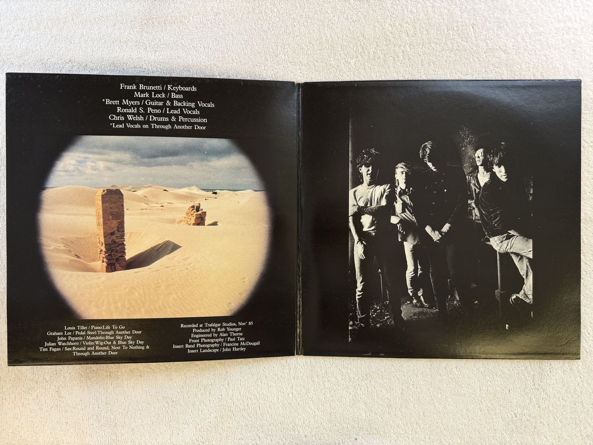 Omslagsbild för skivan DIED PRETTY free dirt LP -86 WHAT GOES ON goes on 7