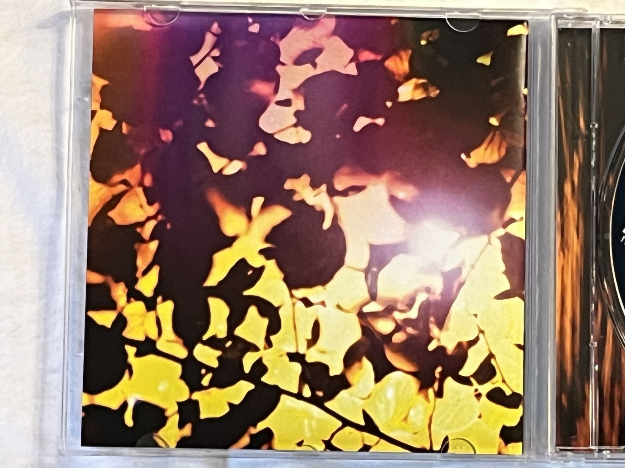 Omslagsbild för skivan DI LEVA free life CD 2005 SPACEFLOWER USMG 007 *** SIGNED ***