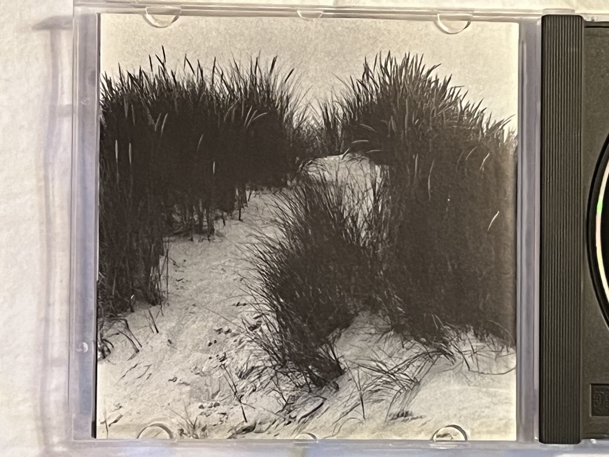 Omslagsbild för skivan EVA DAHLGREN en blekt blondins hjärta CD -91 THE RECORD STATION ** SIGNED **