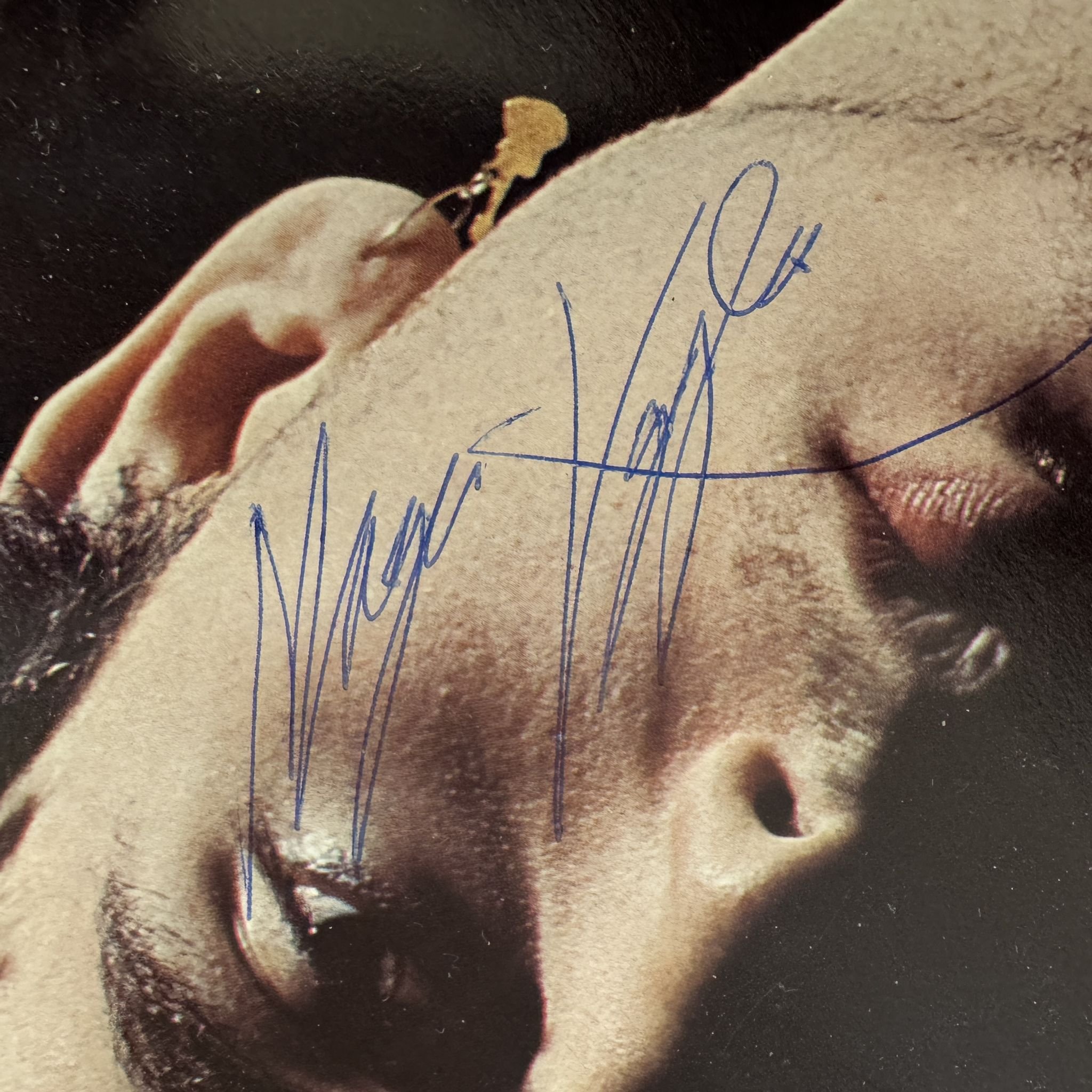 Omslagsbild för skivan MAGNUS UGGLA Va Ska Man Ta...LP + 7"siingle -77 CBS 82191 *** SIGNED ***