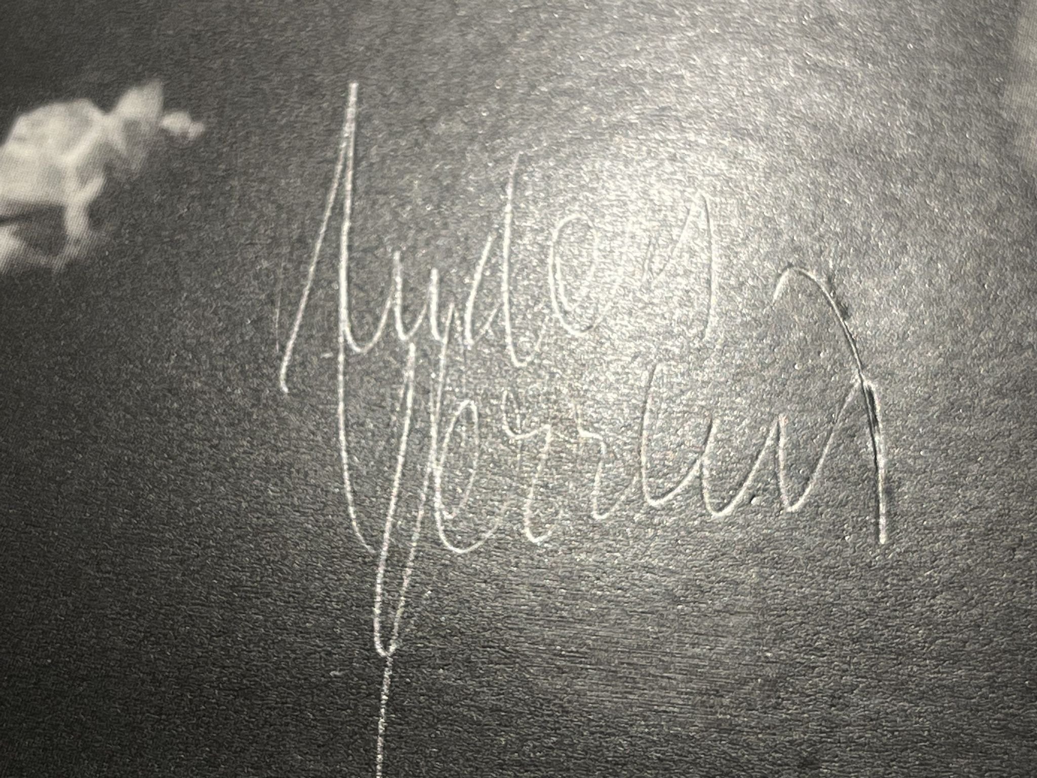 Omslagsbild för skivan GYLLENE TIDER the heartland cafe LP -84 Swe EMI 1361371 ** FULLY SIGNED **