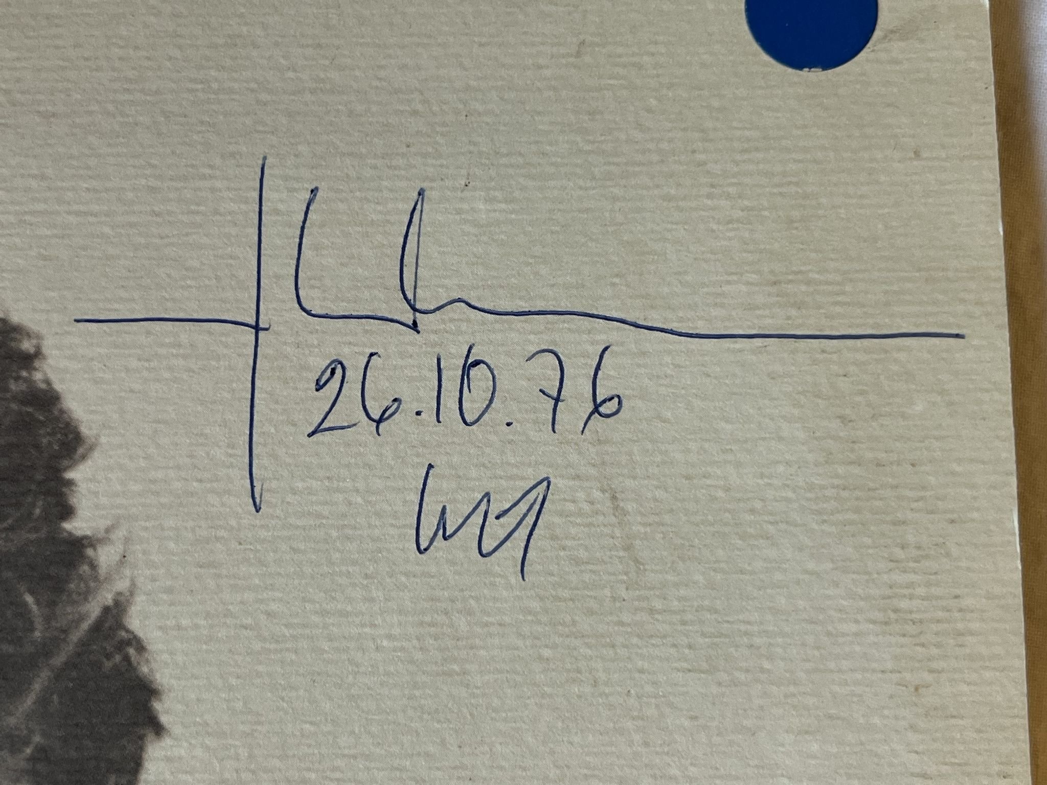 Omslagsbild för skivan ULF LUNDELL vargmåne LP -75 Swe HARVEST 4E 062 35188 ** SIGNED **